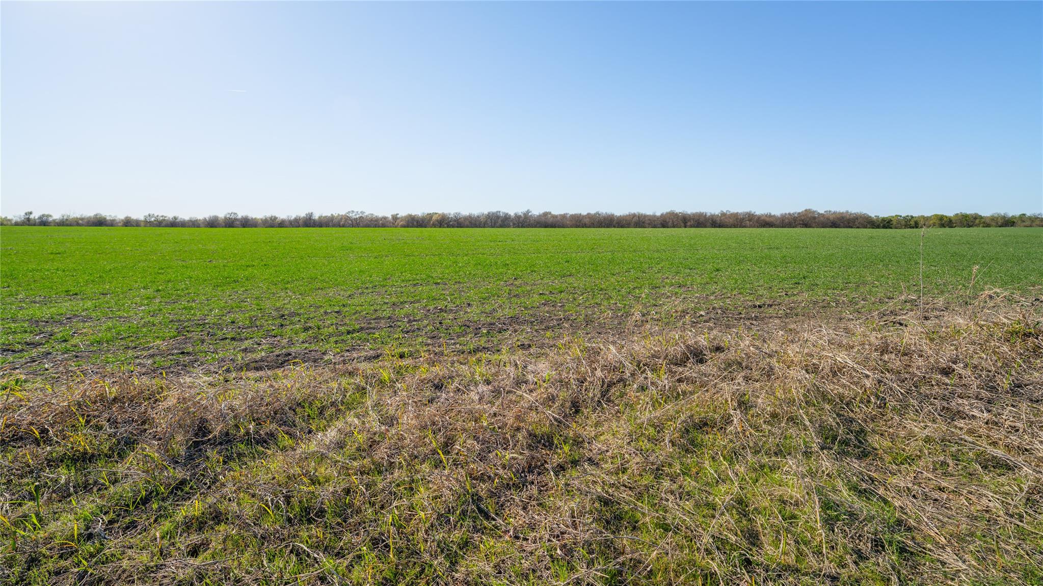 2396-E County Road 112, Buckholts, TX 76518