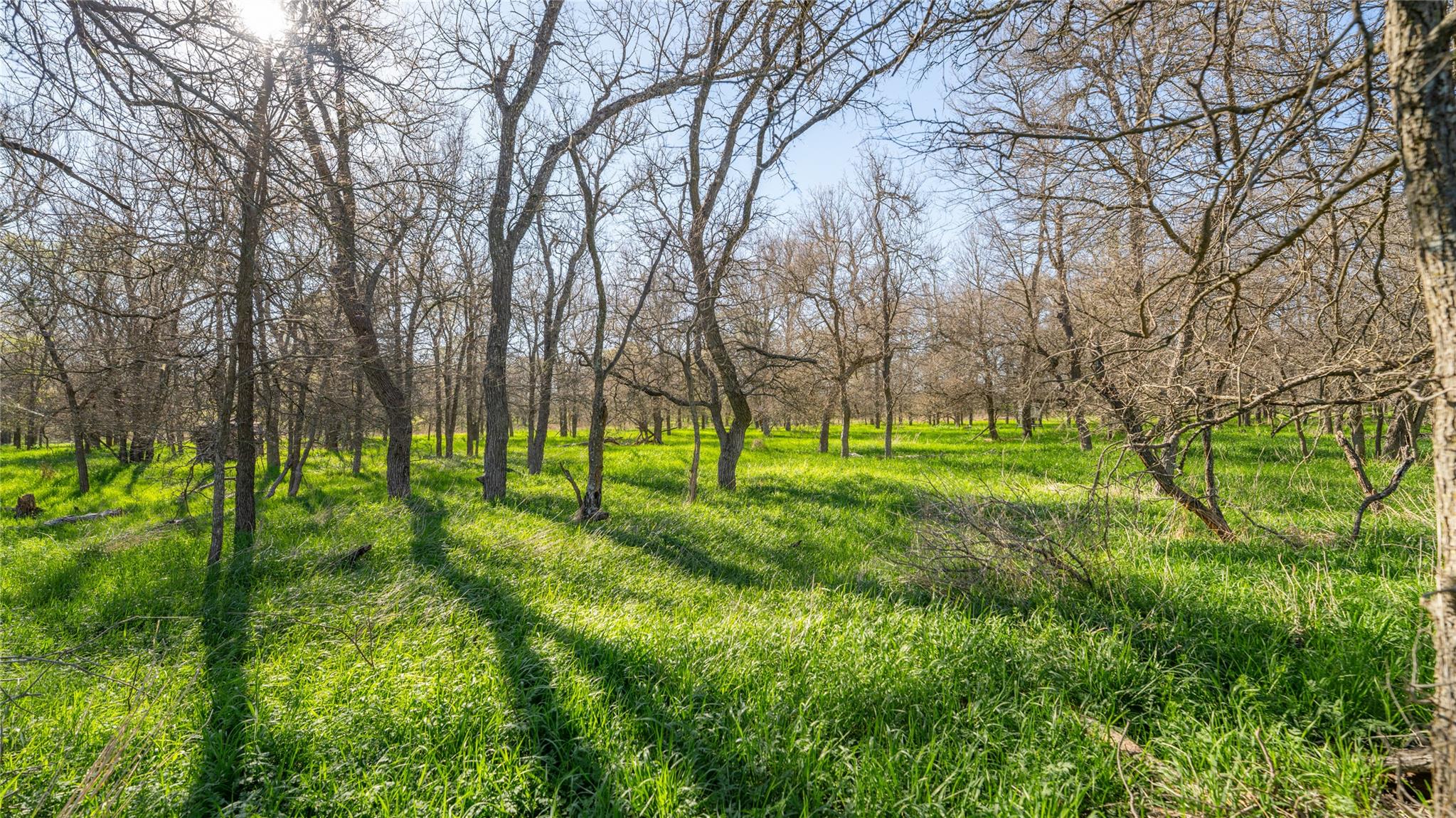 2396-E County Road 112, Buckholts, TX 76518