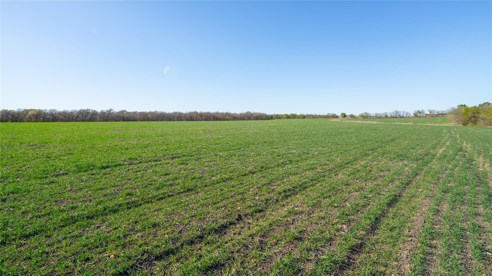 2396-E County Road 112, Buckholts, TX 76518