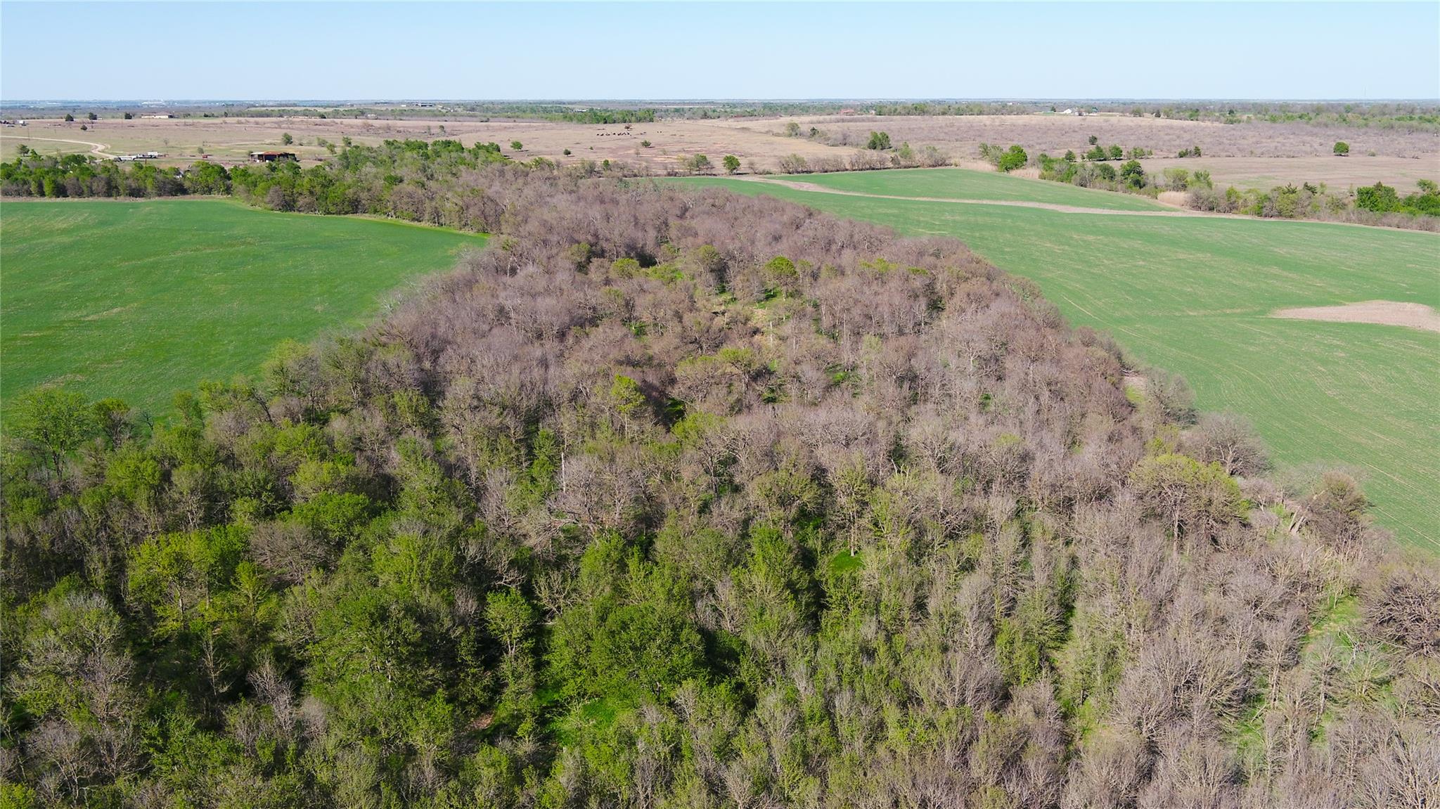 2396-E County Road 112, Buckholts, TX 76518