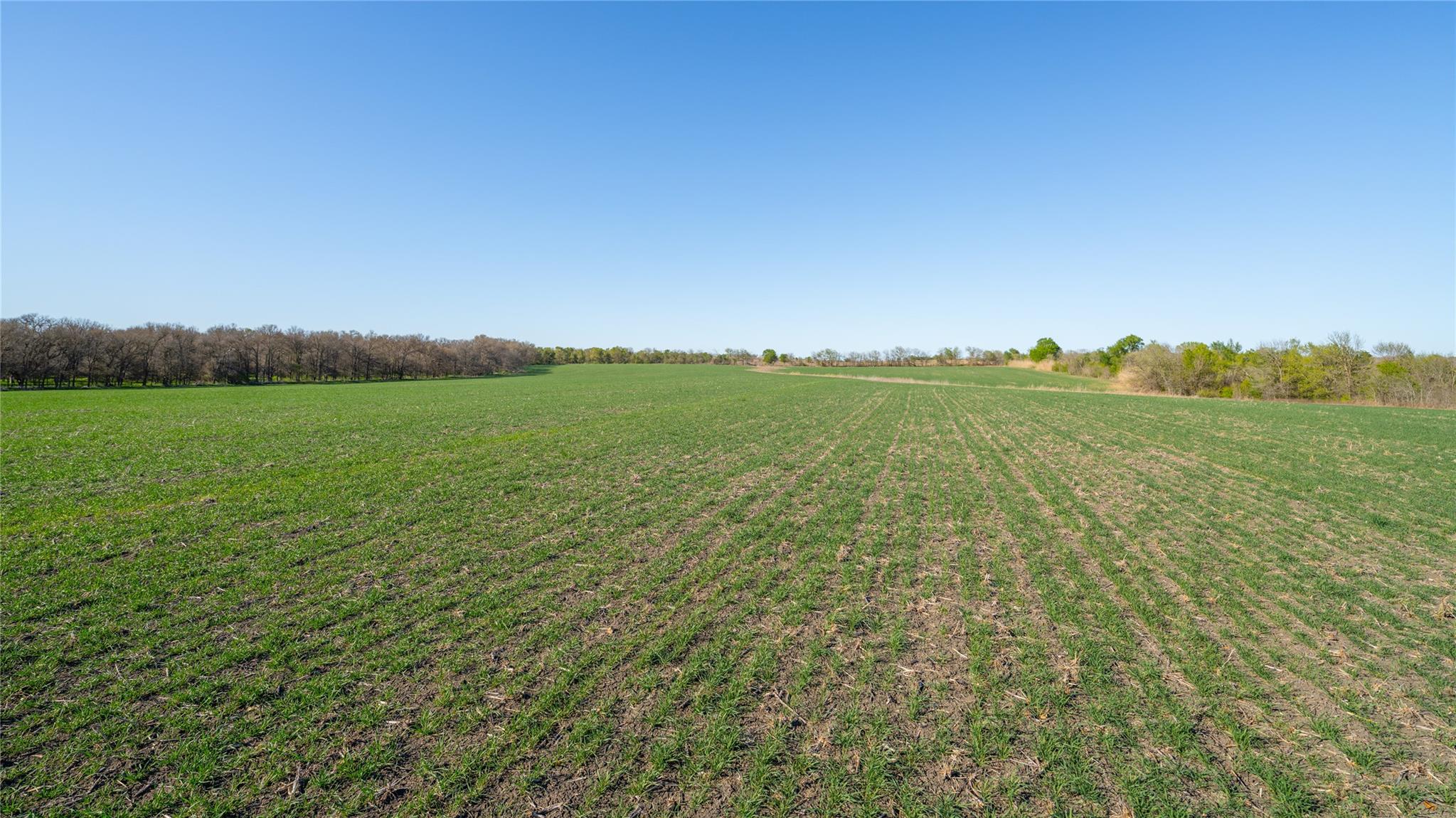 2396-E County Road 112, Buckholts, TX 76518