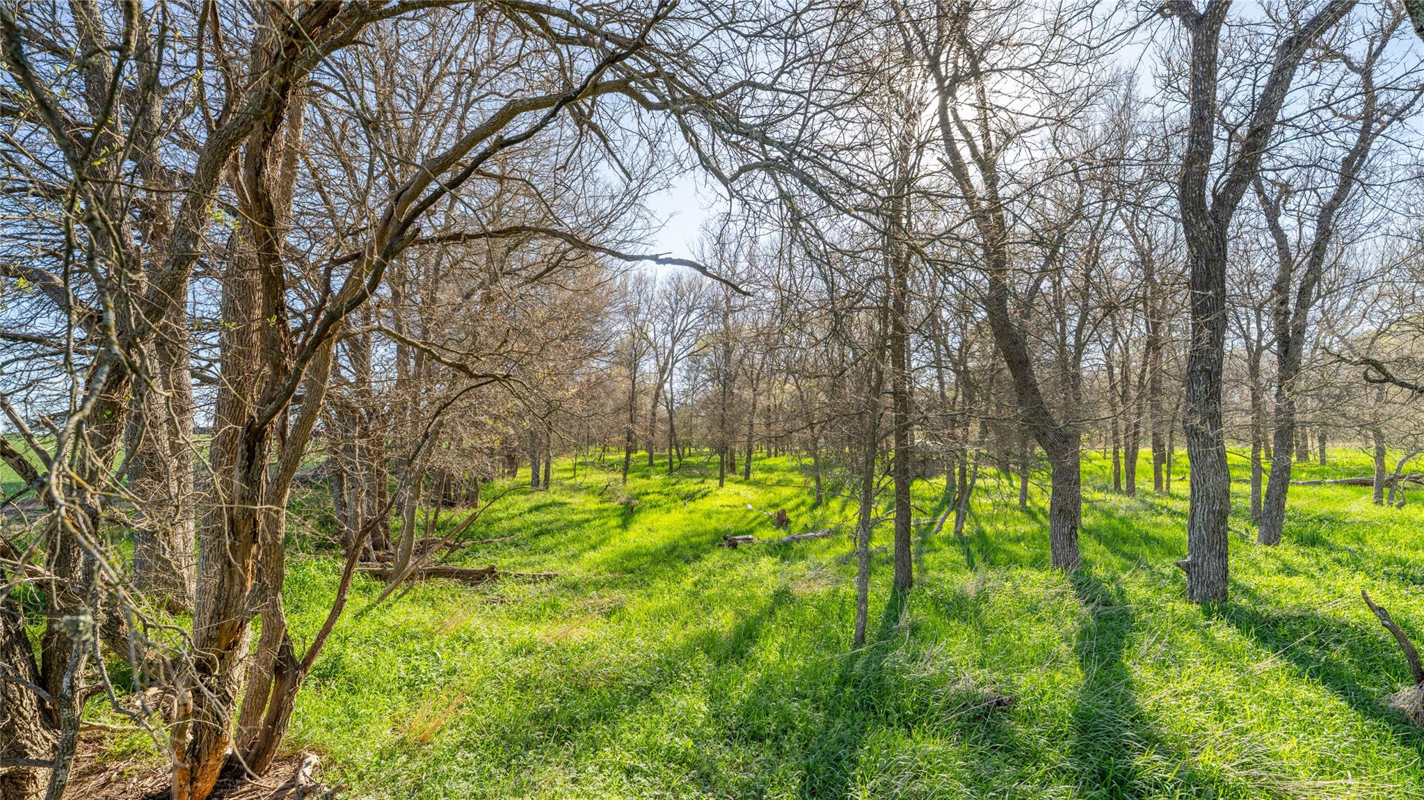 2396-E County Road 112, Buckholts, TX 76518