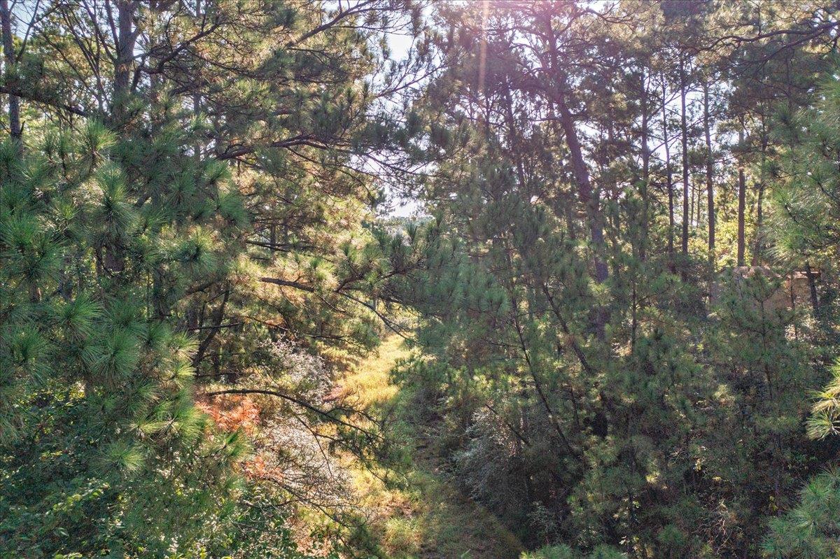 0 AKALOA Dr, Bastrop, TX 78602