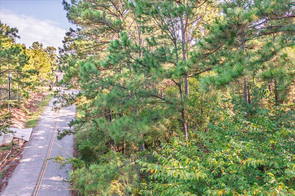 0 AKALOA Dr, Bastrop, TX 78602