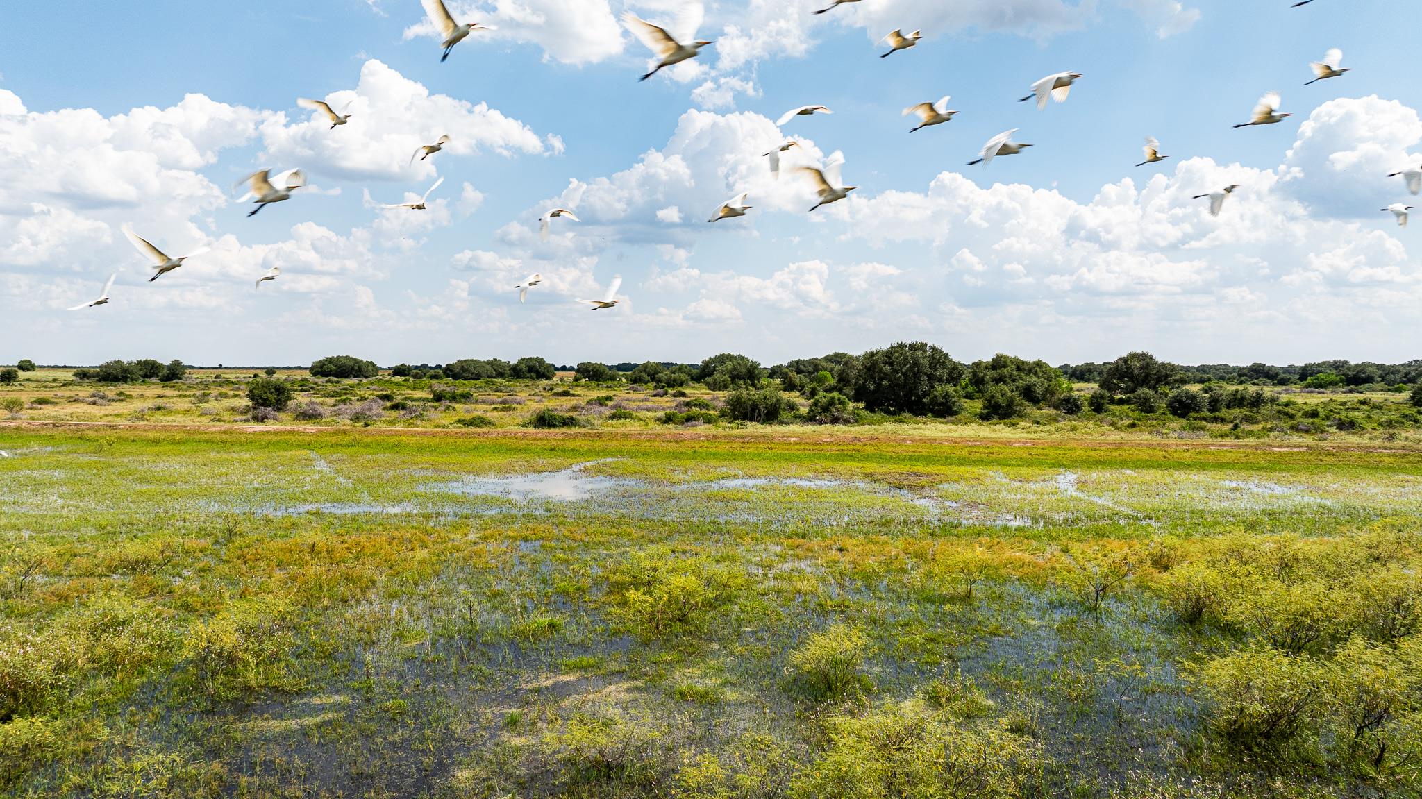 TBD CR 106, Rock Island, TX 77470