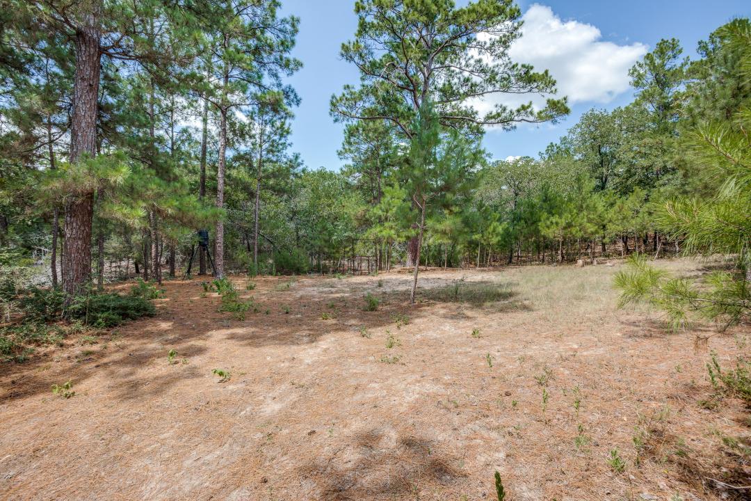 217 Kestrel Ln, Red Rock, TX 78662