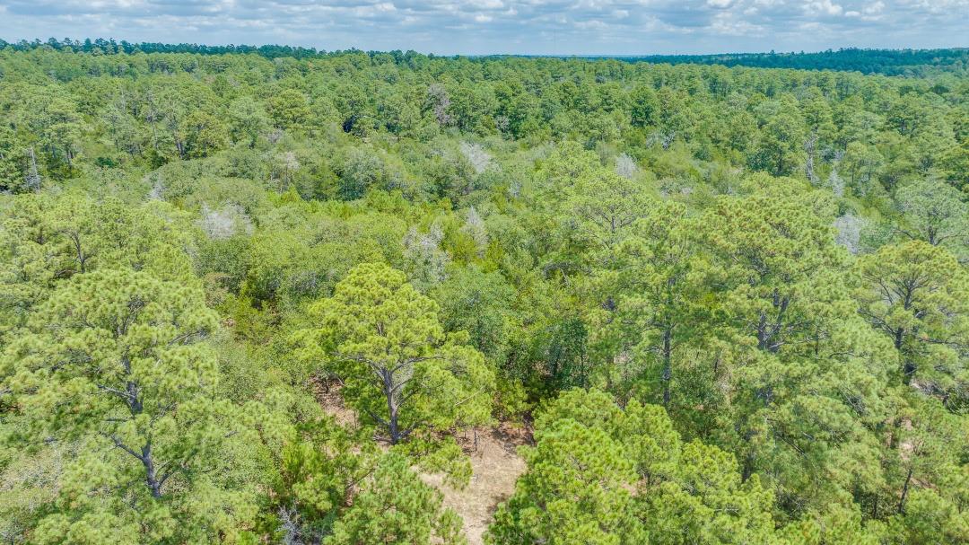 217 Kestrel Ln, Red Rock, TX 78662