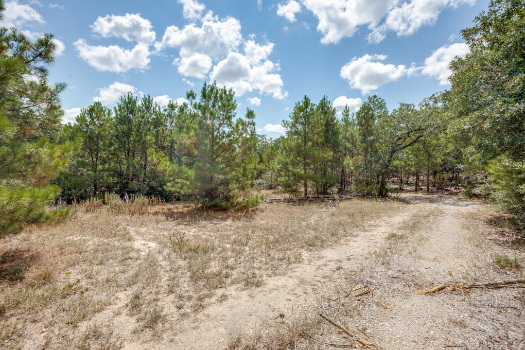 217 Kestrel Ln, Red Rock, TX 78662