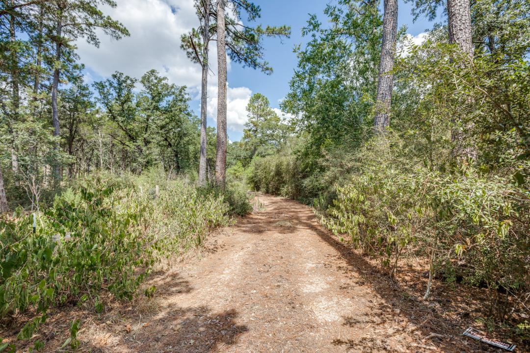 217 Kestrel Ln, Red Rock, TX 78662