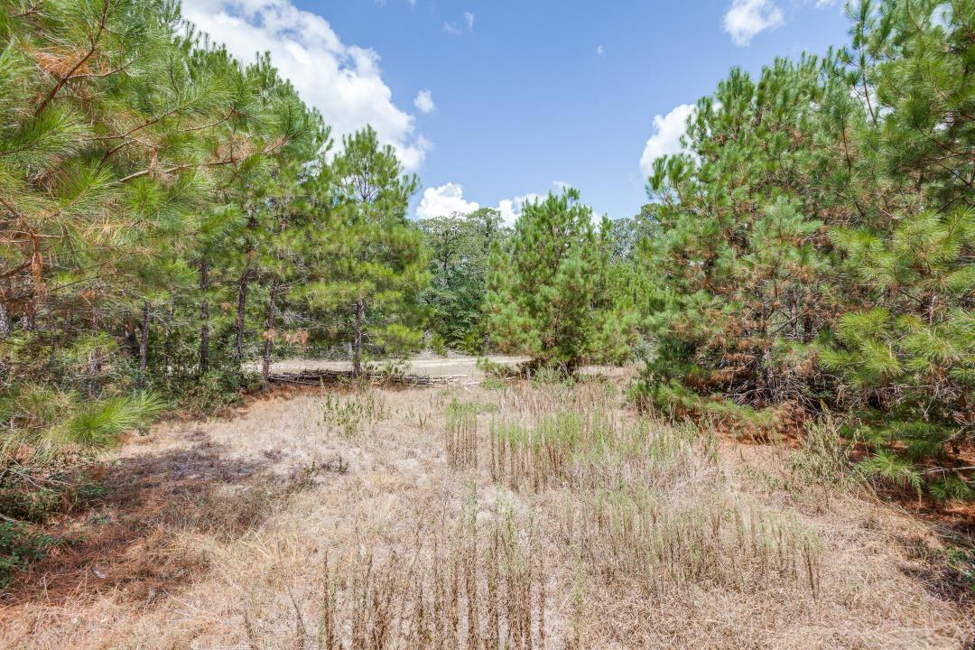 217 Kestrel Ln, Red Rock, TX 78662