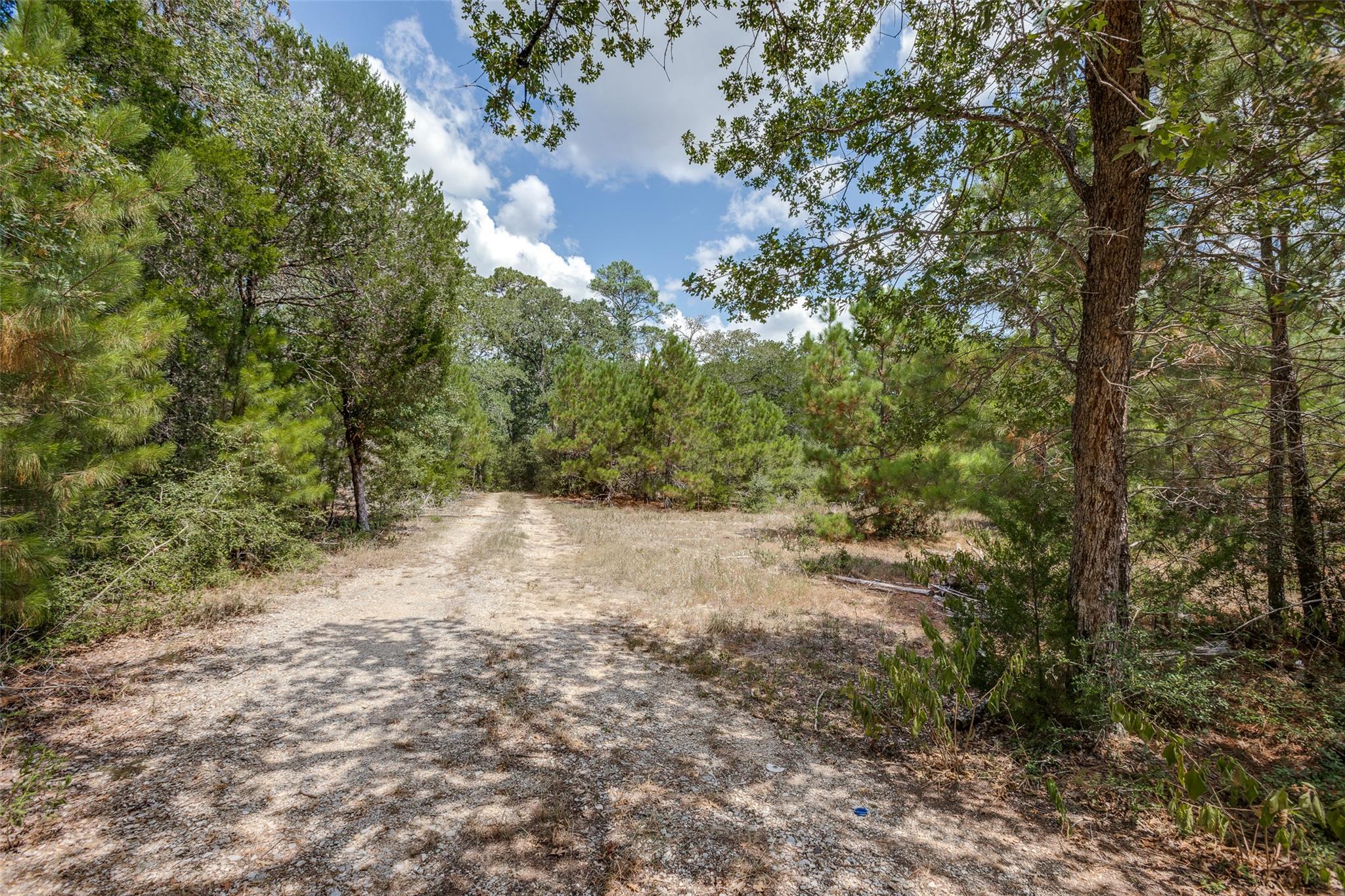 217 Kestrel Ln, Red Rock, TX 78662