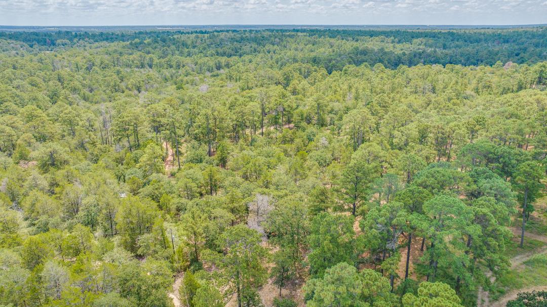 217 Kestrel Ln, Red Rock, TX 78662