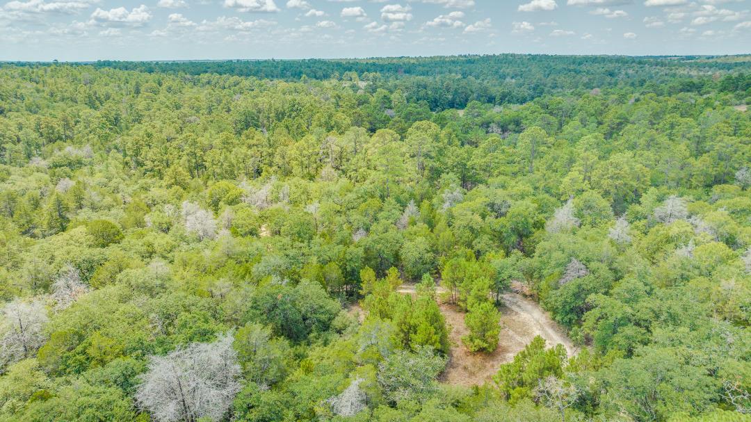 217 Kestrel Ln, Red Rock, TX 78662