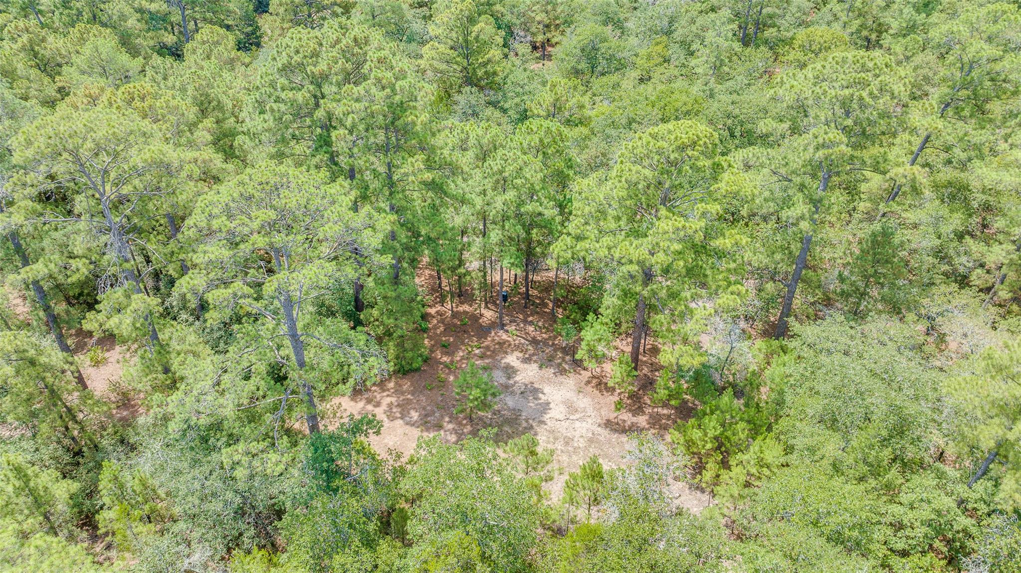 217 Kestrel Ln, Red Rock, TX 78662