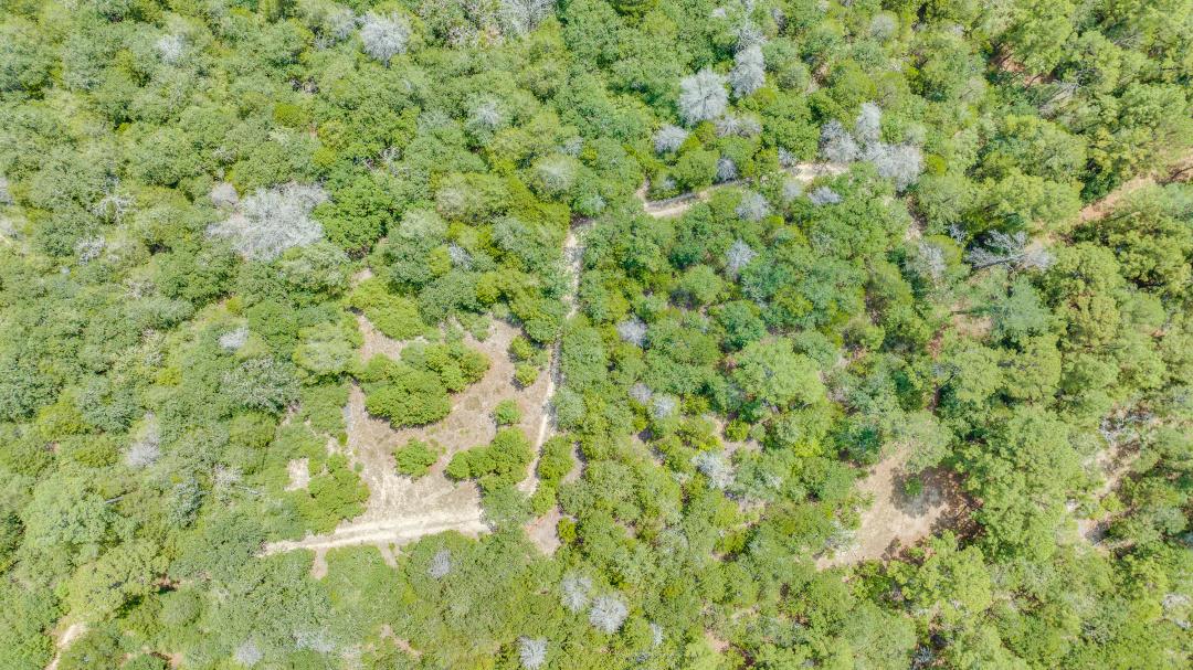 217 Kestrel Ln, Red Rock, TX 78662