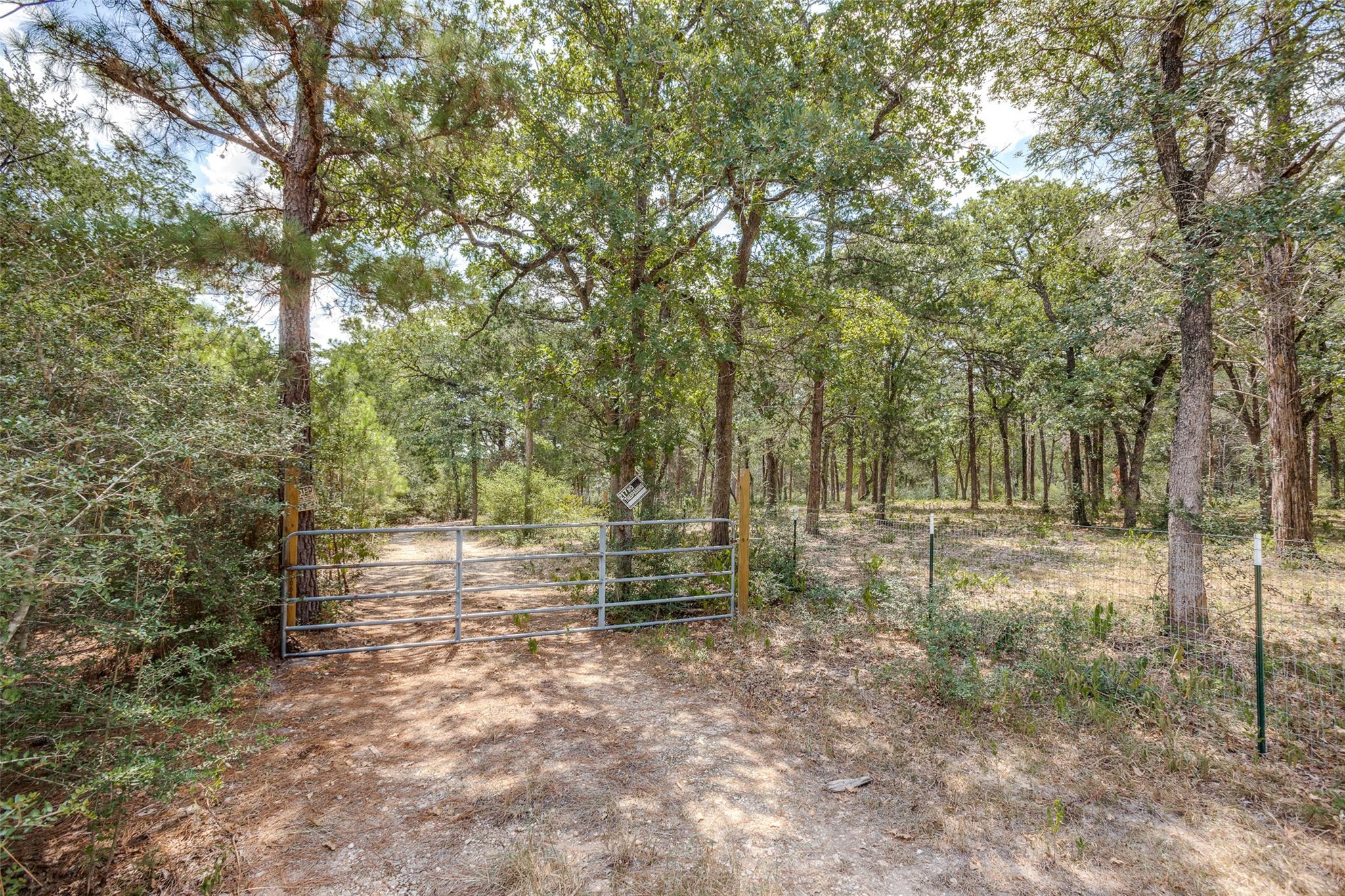 217 Kestrel Ln, Red Rock, TX 78662