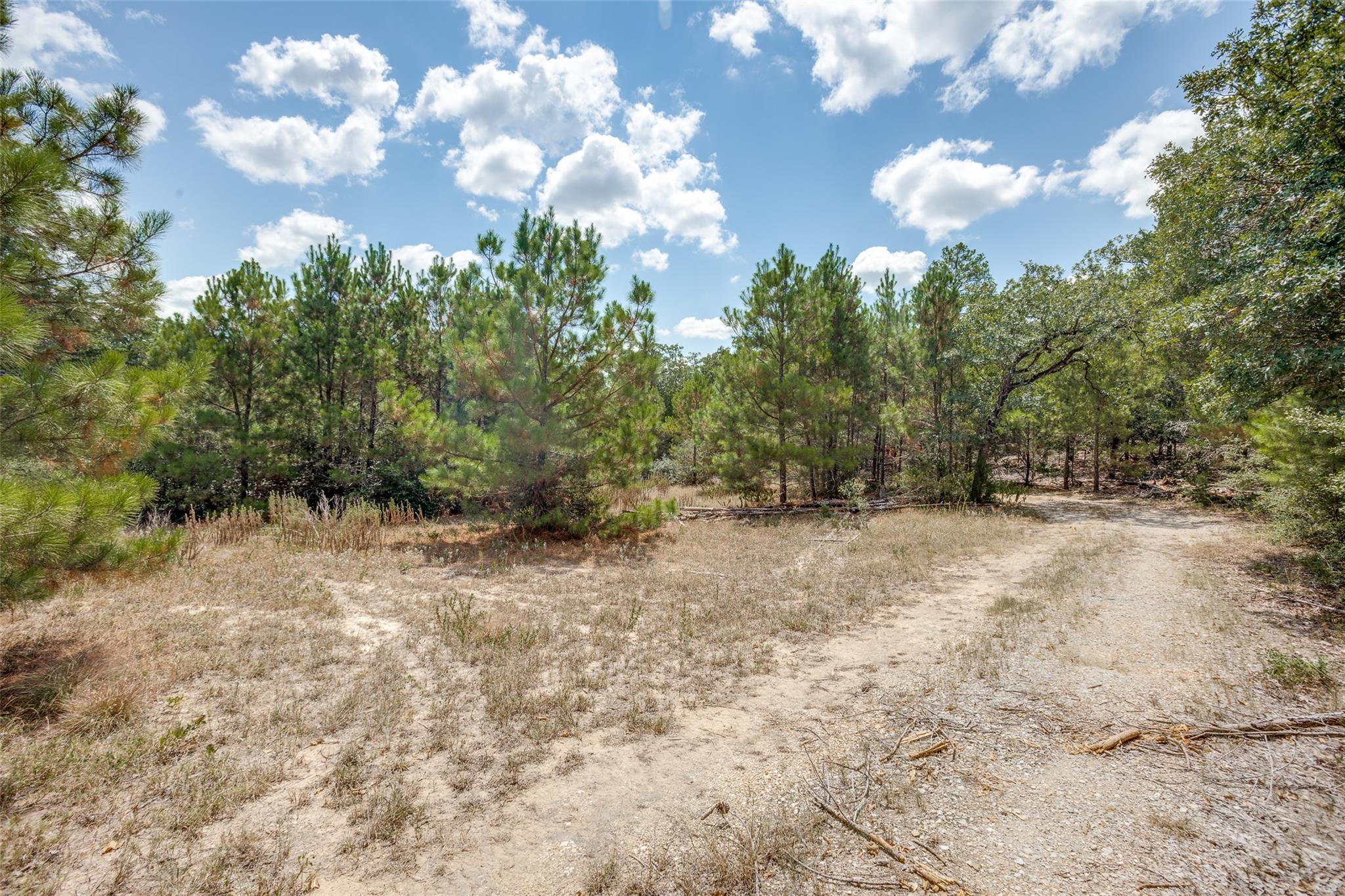 217 Kestrel Ln, Red Rock, TX 78662