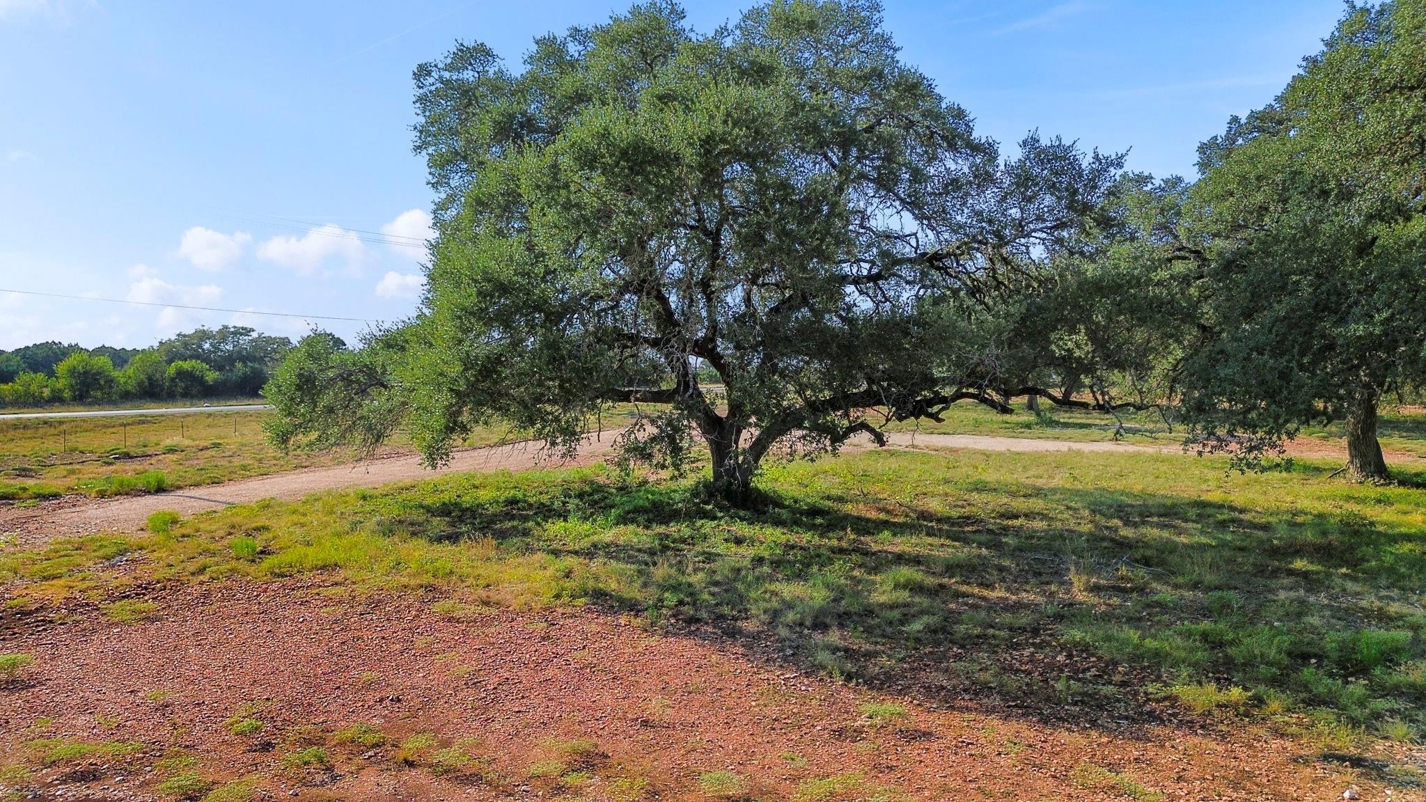 154 Lone Oak Rd, New Braunfels, TX 78132