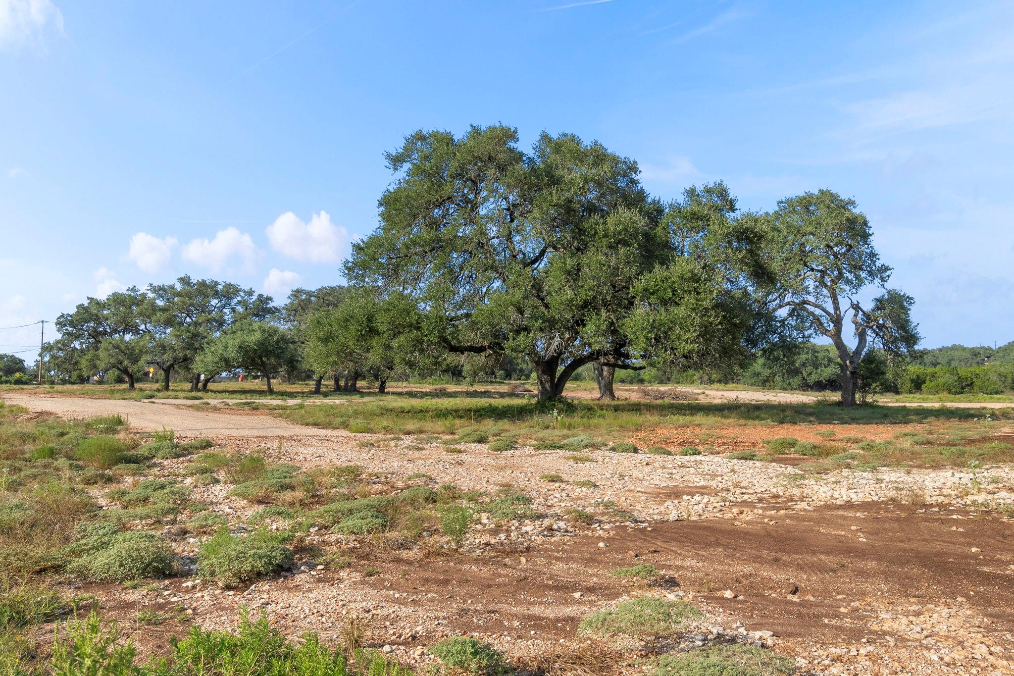 154 Lone Oak Rd, New Braunfels, TX 78132