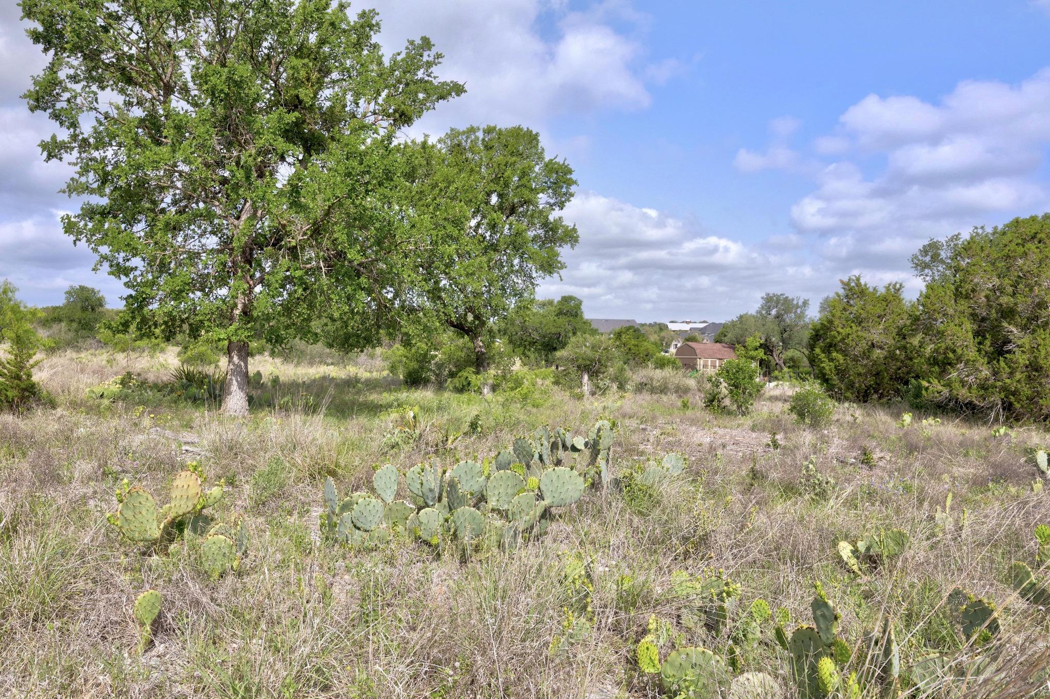 Lot 210 Enchanted Oaks Pt, Spicewood, TX 78669