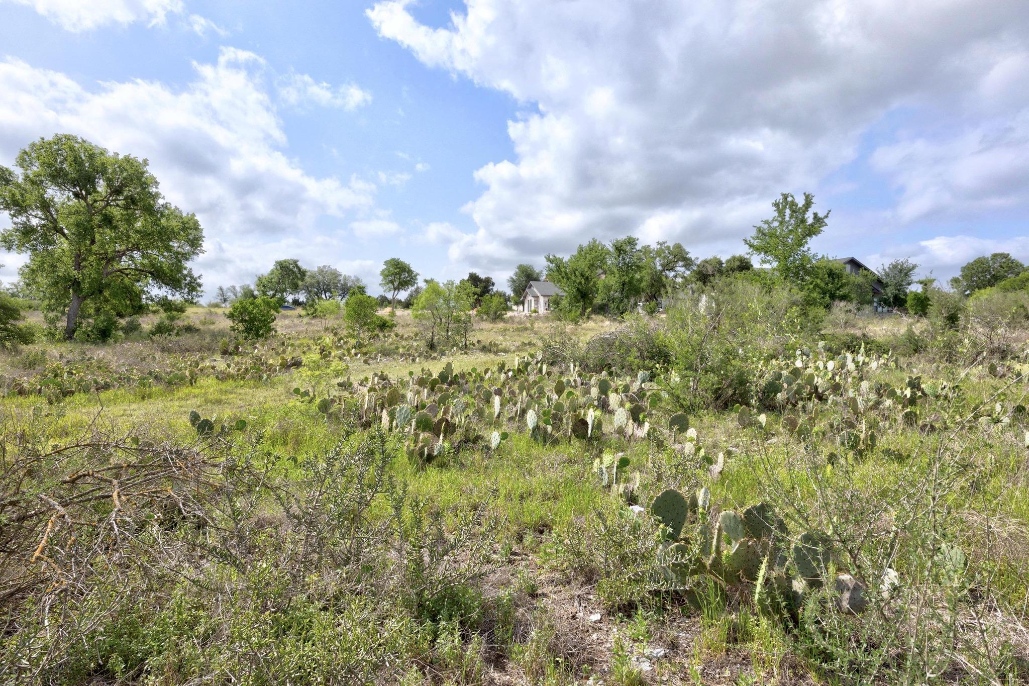 Lot 210 Enchanted Oaks Pt, Spicewood, TX 78669