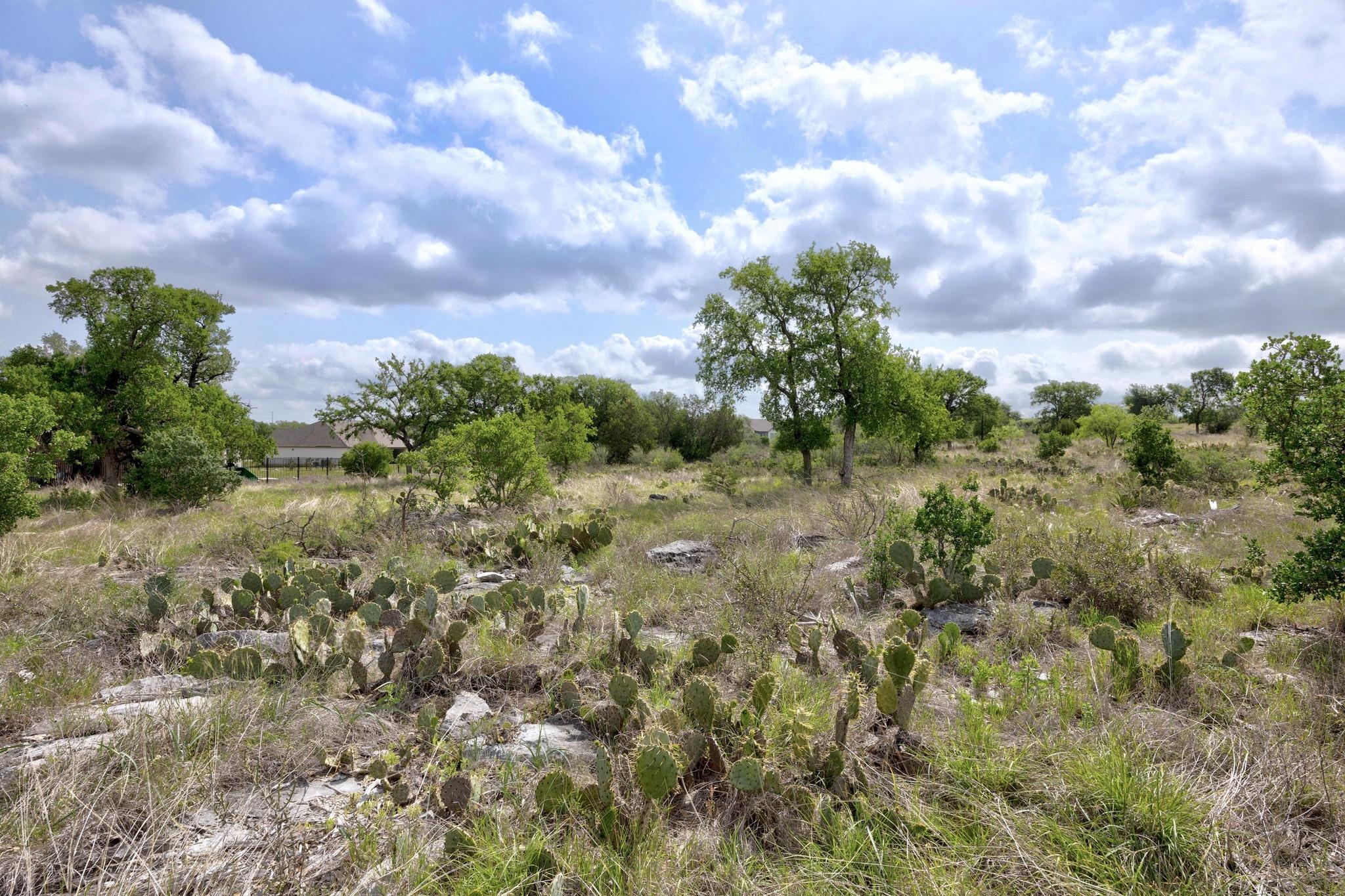 Lot 210 Enchanted Oaks Pt, Spicewood, TX 78669