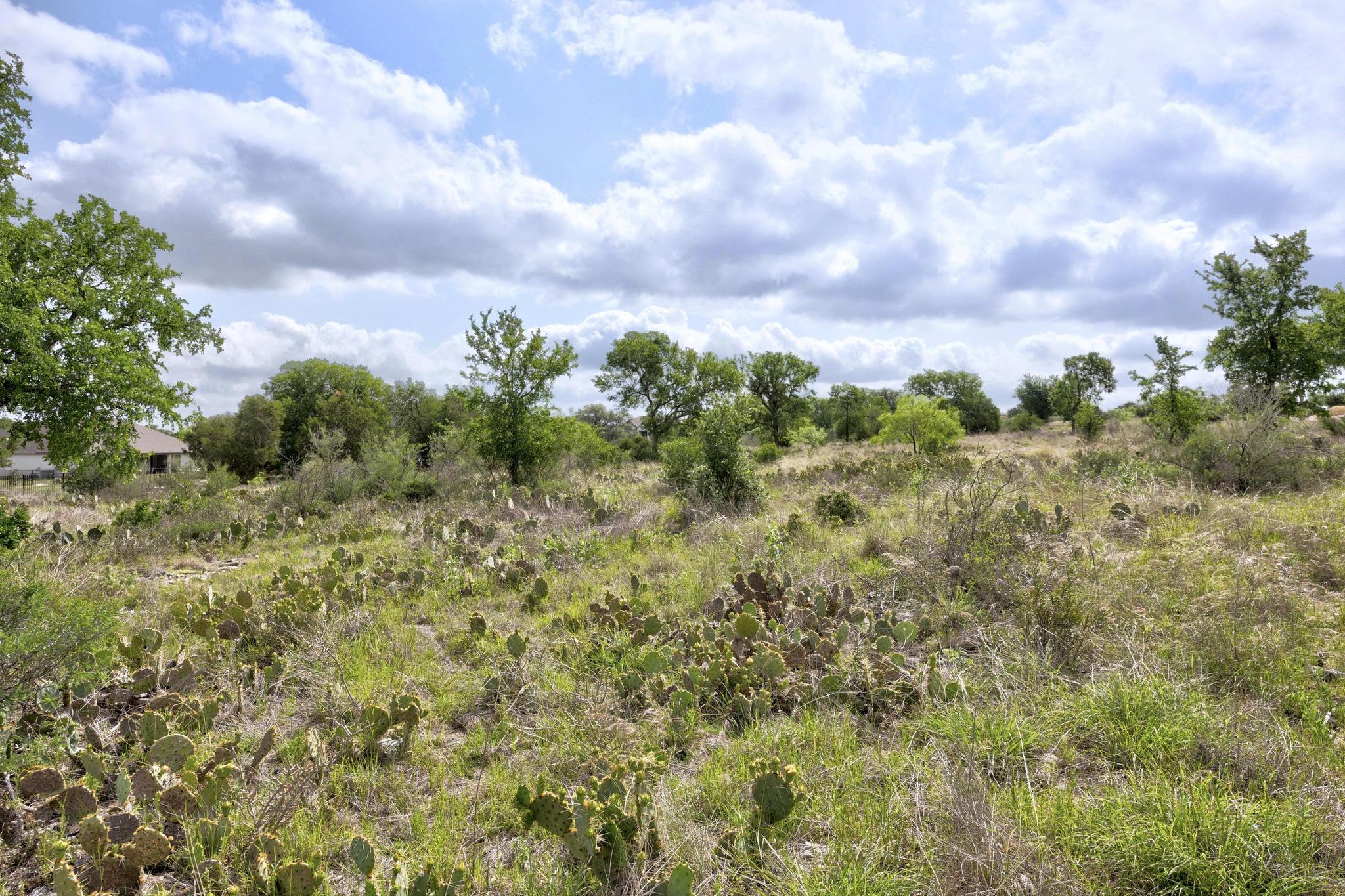 Lot 210 Enchanted Oaks Pt, Spicewood, TX 78669