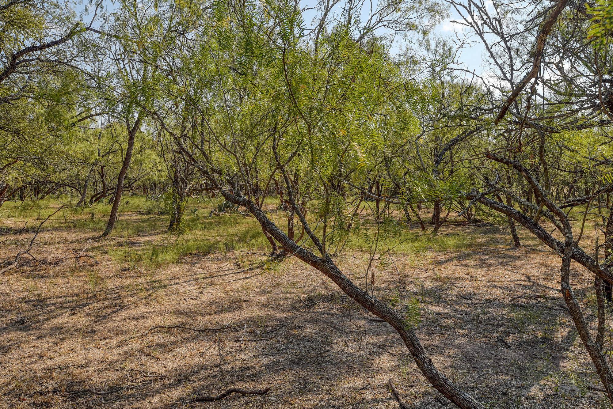 165 Thousand Oaks Dr, Cedar Creek, TX 78612