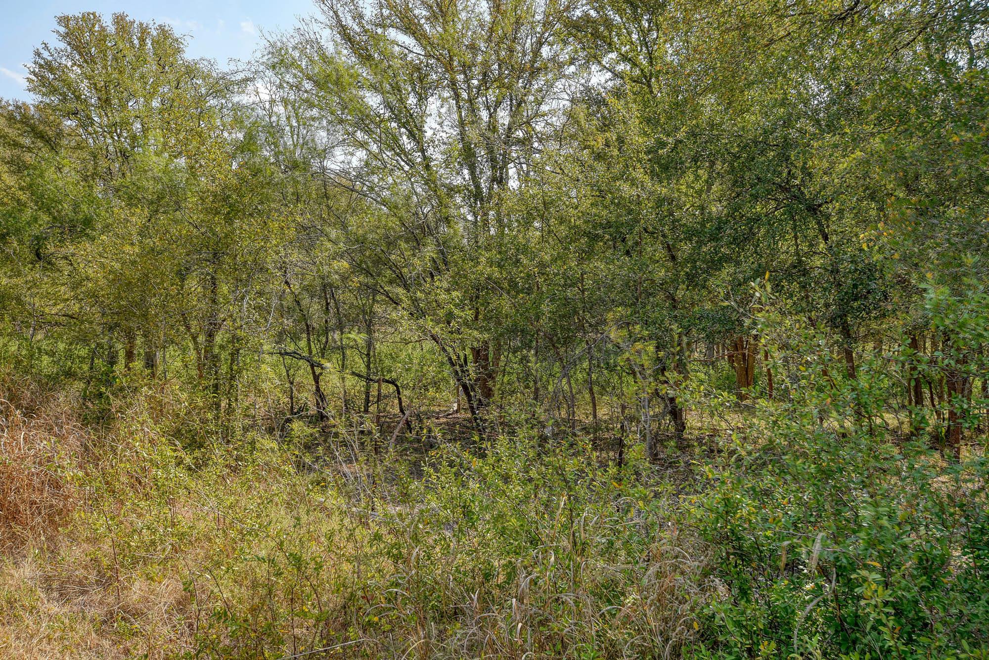 165 Thousand Oaks Dr, Cedar Creek, TX 78612