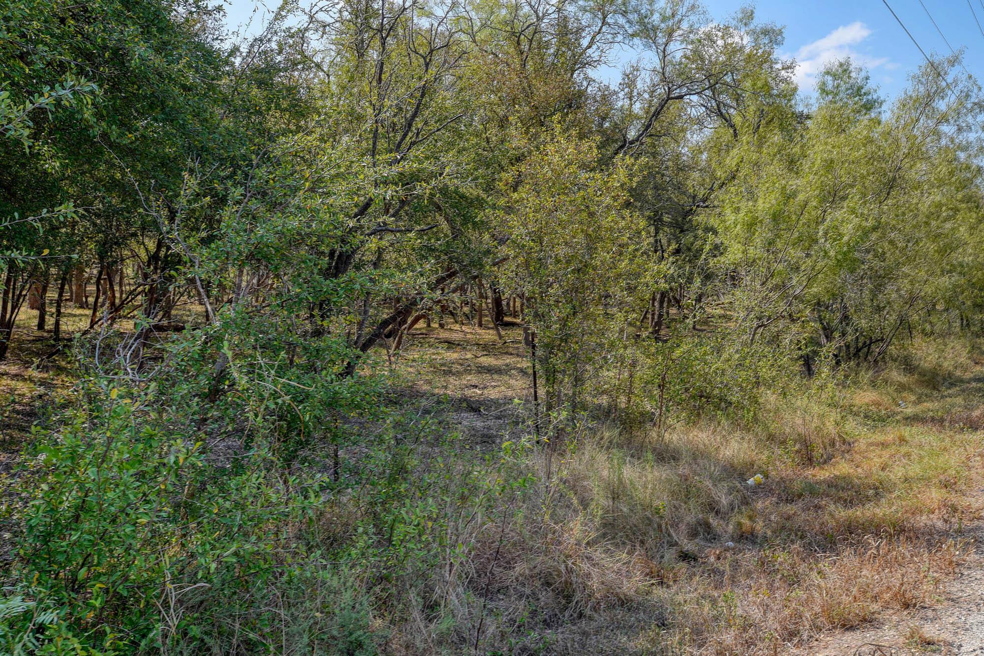 165 Thousand Oaks Dr, Cedar Creek, TX 78612