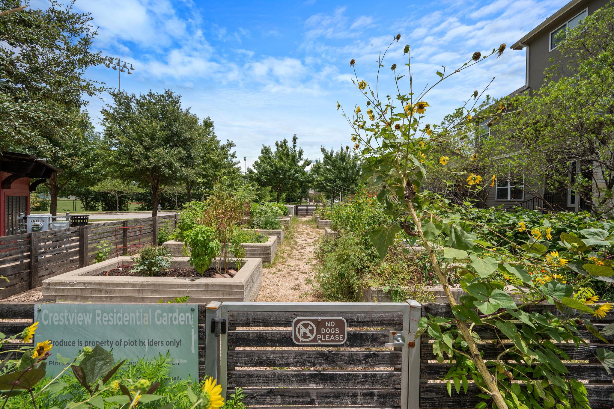 7408 Wildcat Pass, Austin, TX 78757