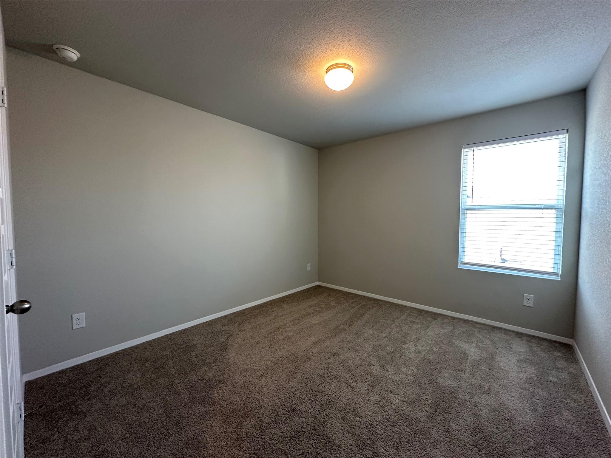 11513 Domenico Cv, Austin, TX 78747