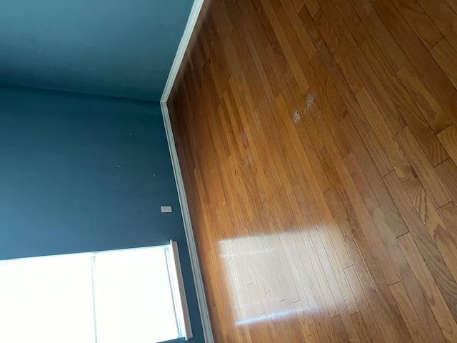 1001 Schubert Ln, Kyle, TX 78640