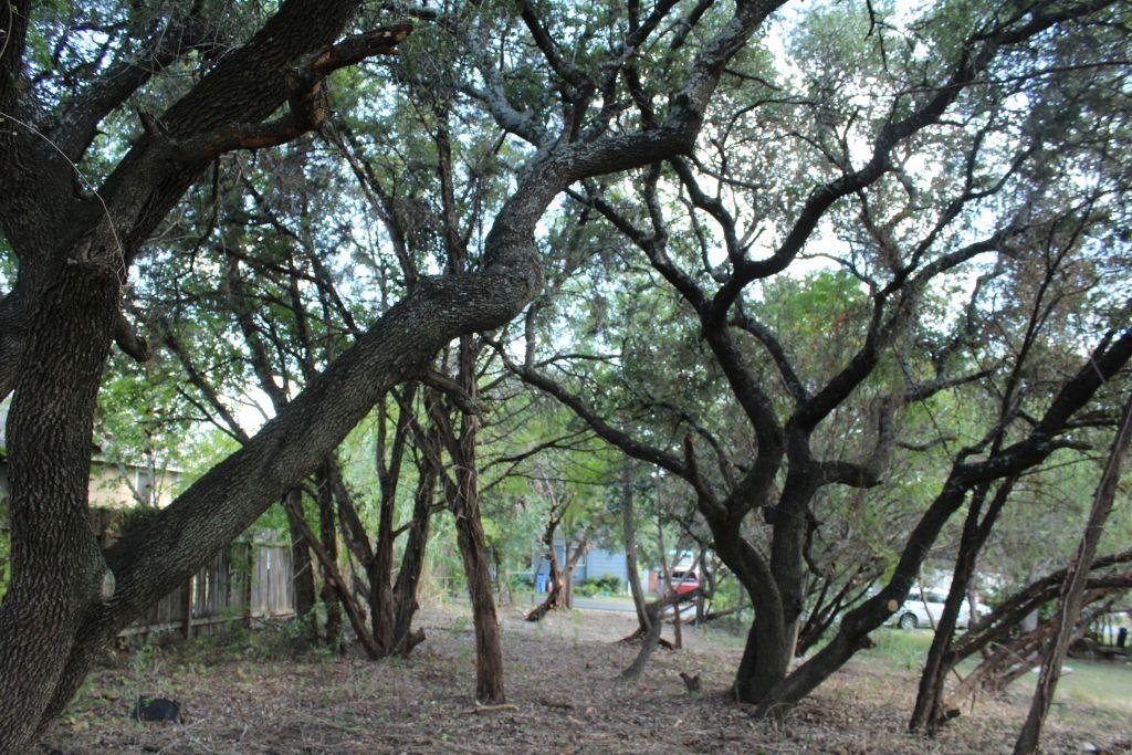 11502 Bee St, Jonestown, TX 78645