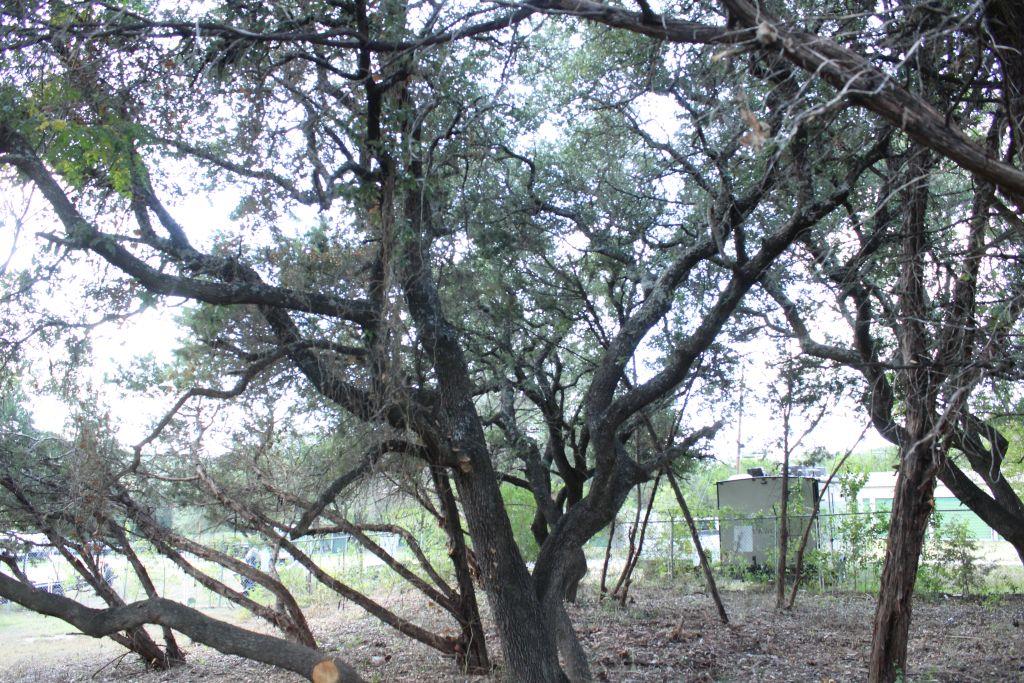 11502 Bee St, Jonestown, TX 78645