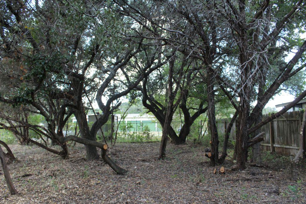 11502 Bee St, Jonestown, TX 78645