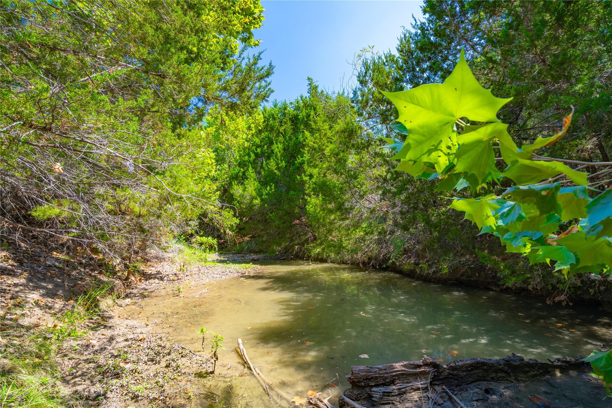 564 Bluff Springs Dr, Driftwood, TX 78619