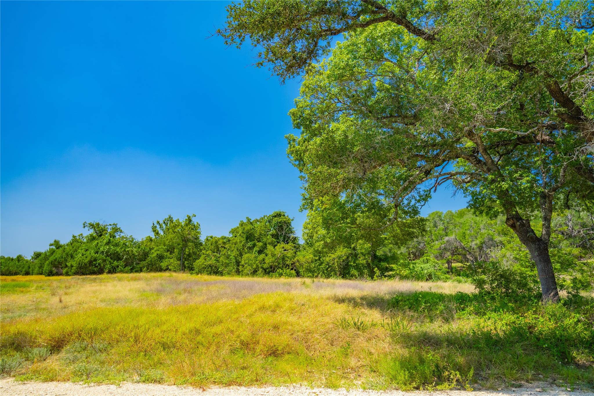 564 Bluff Springs Dr, Driftwood, TX 78619