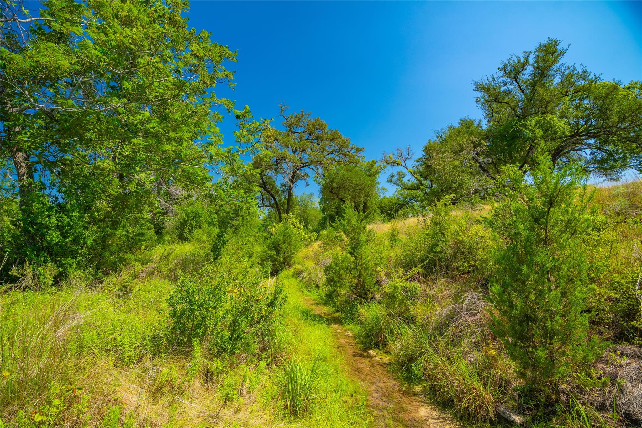 564 Bluff Springs Dr, Driftwood, TX 78619