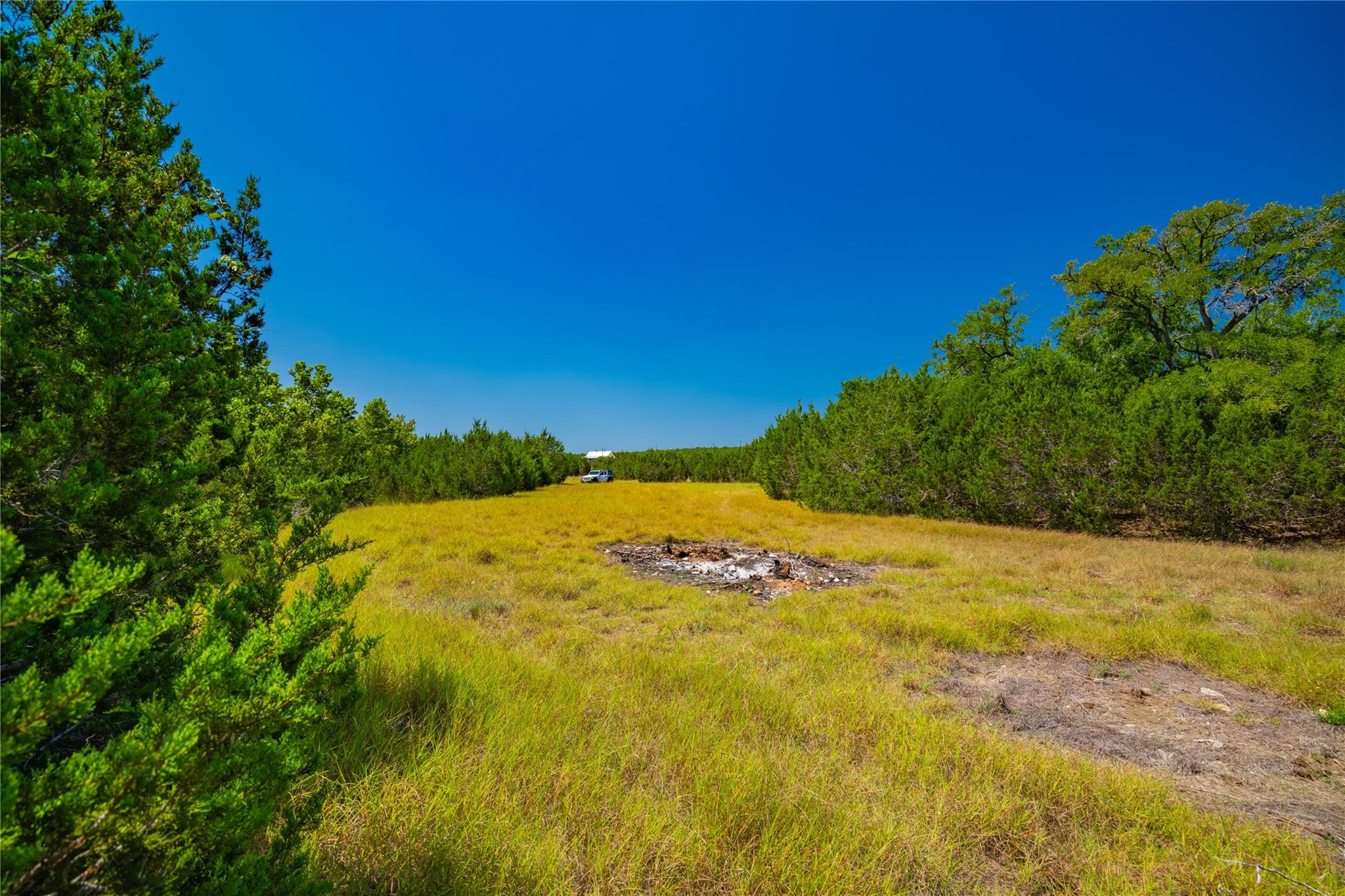 564 Bluff Springs Dr, Driftwood, TX 78619