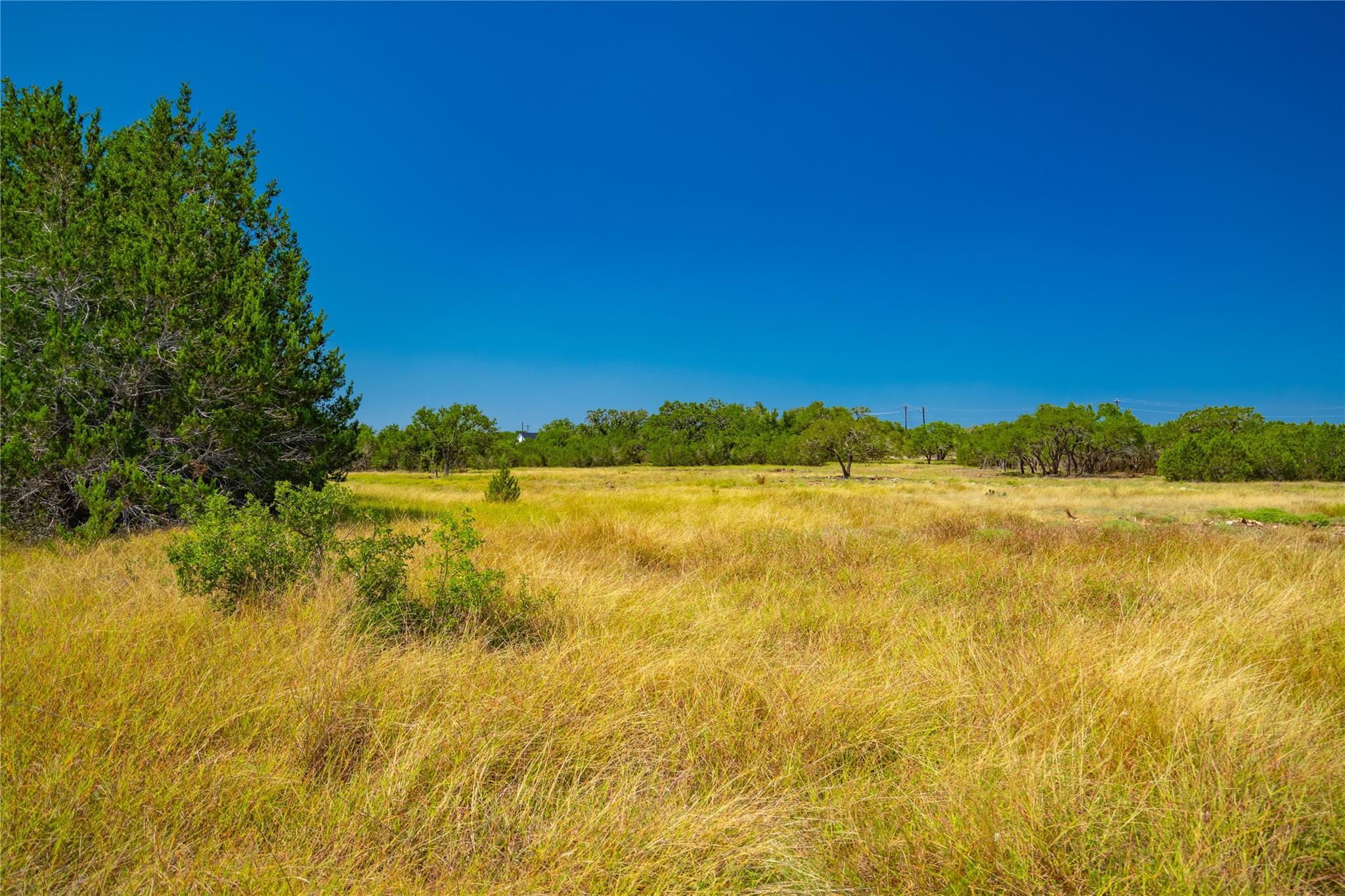 564 Bluff Springs Dr, Driftwood, TX 78619