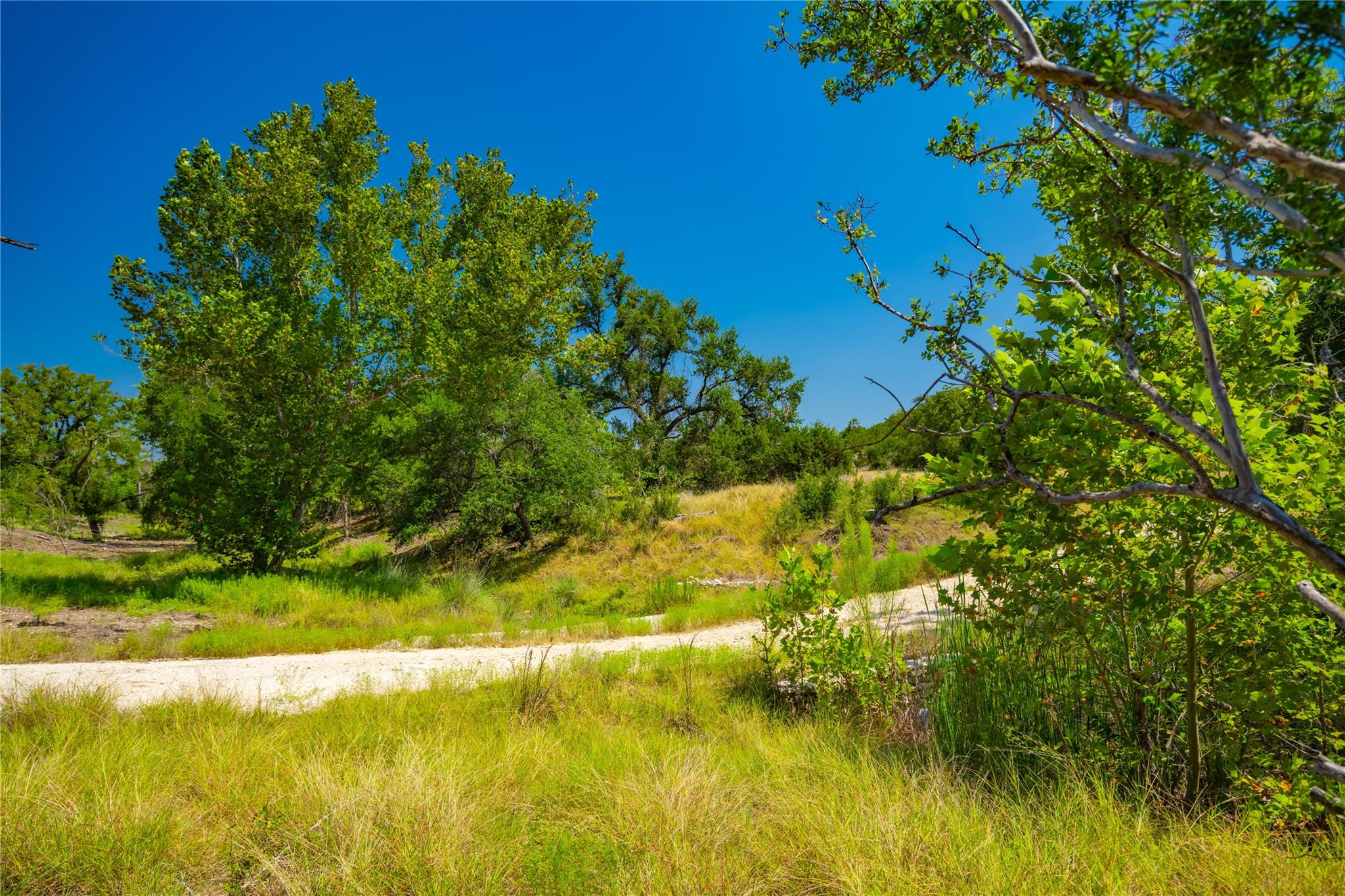 564 Bluff Springs Dr, Driftwood, TX 78619