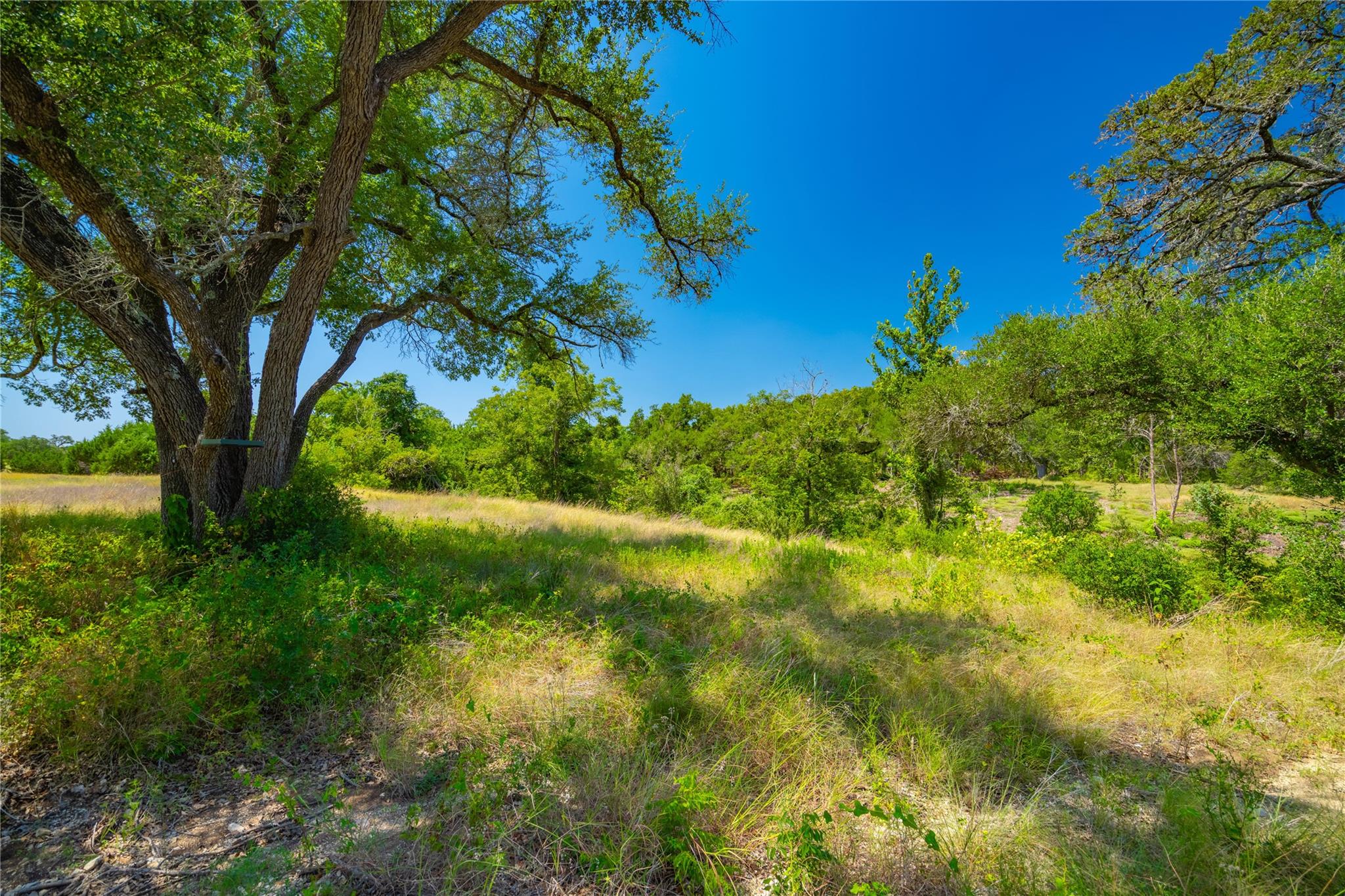 564 Bluff Springs Dr, Driftwood, TX 78619