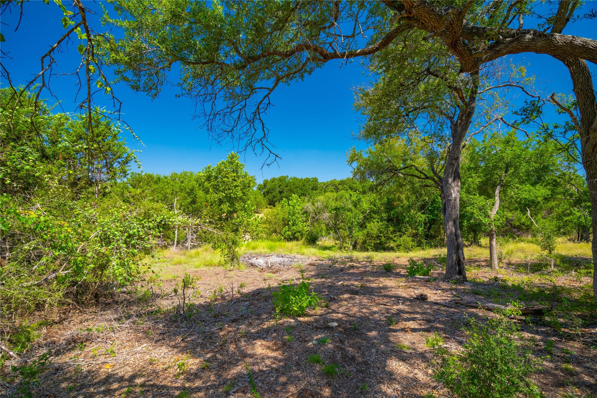 564 Bluff Springs Dr, Driftwood, TX 78619