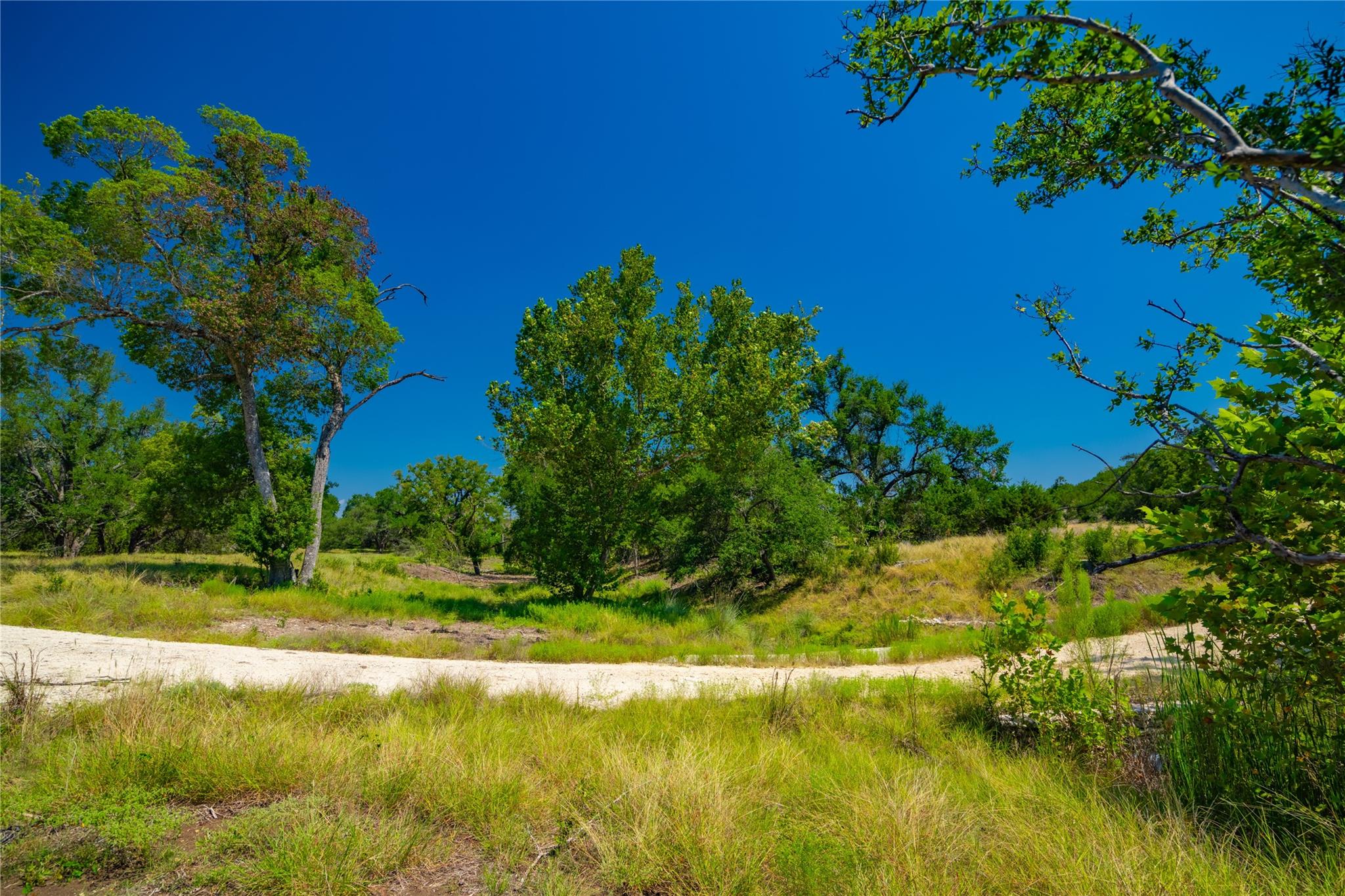 564 Bluff Springs Dr, Driftwood, TX 78619