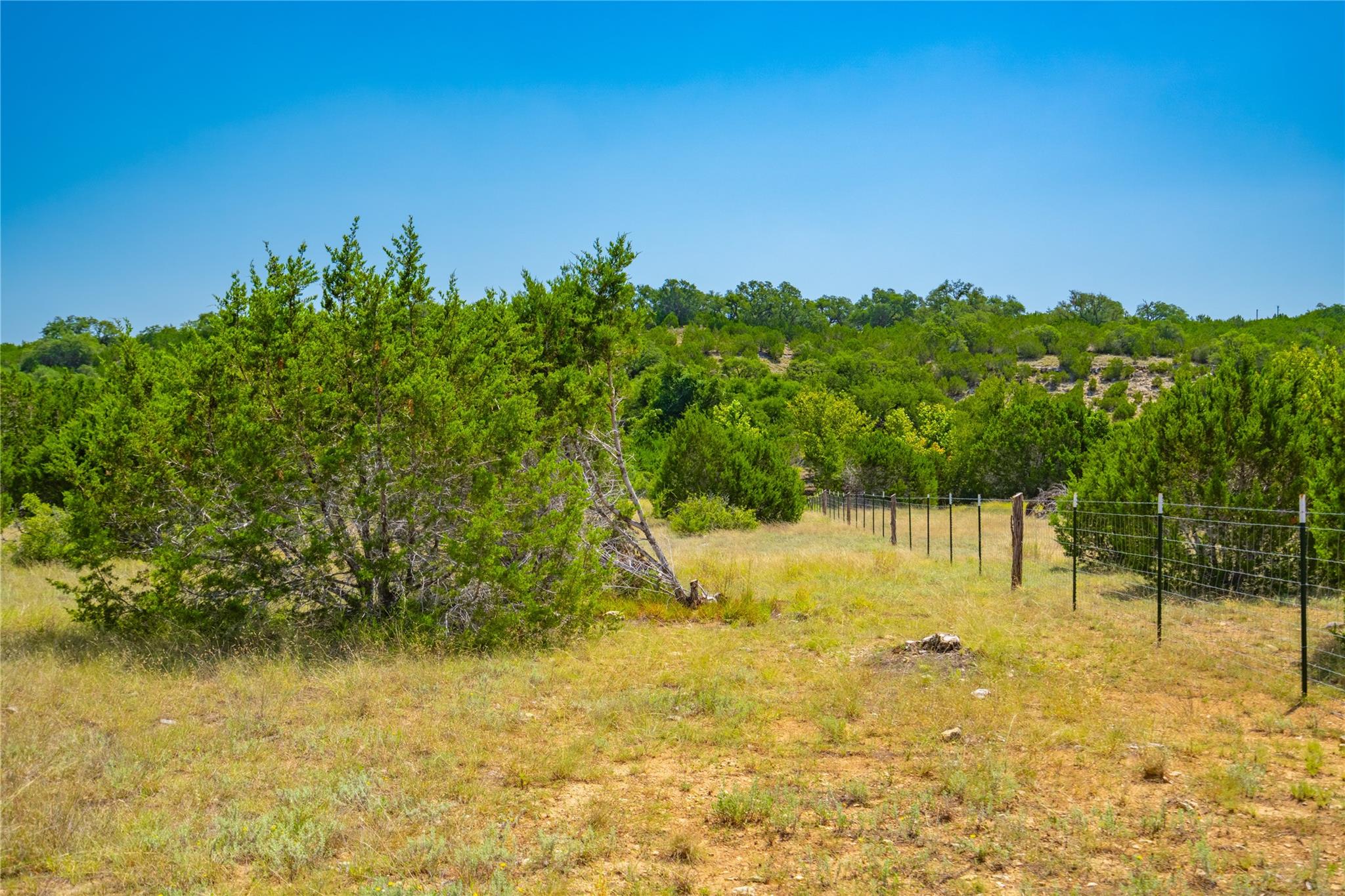 564 Bluff Springs Dr, Driftwood, TX 78619