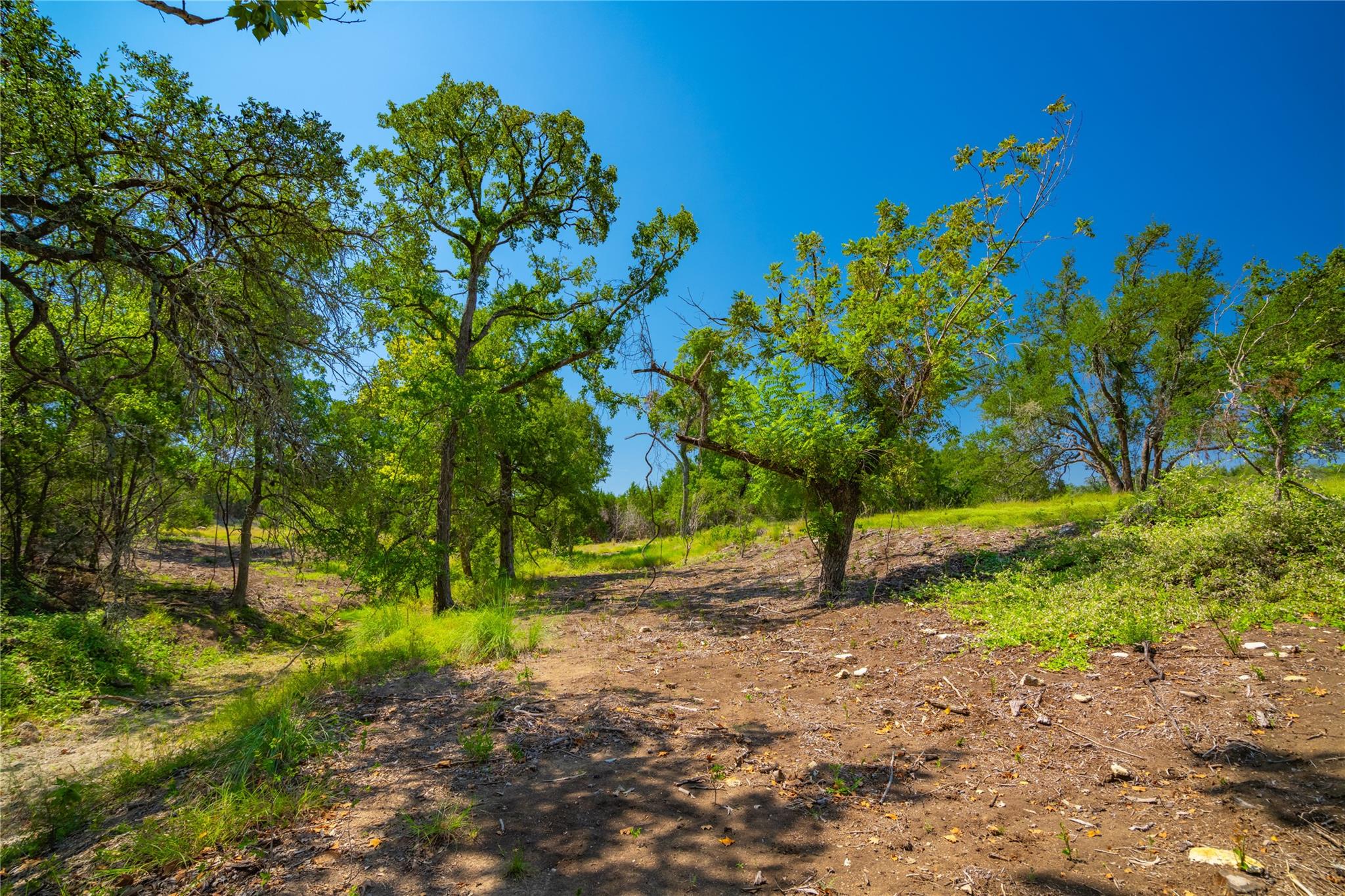 564 Bluff Springs Dr, Driftwood, TX 78619