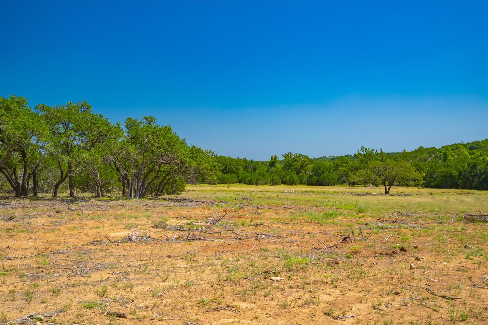 564 Bluff Springs Dr, Driftwood, TX 78619