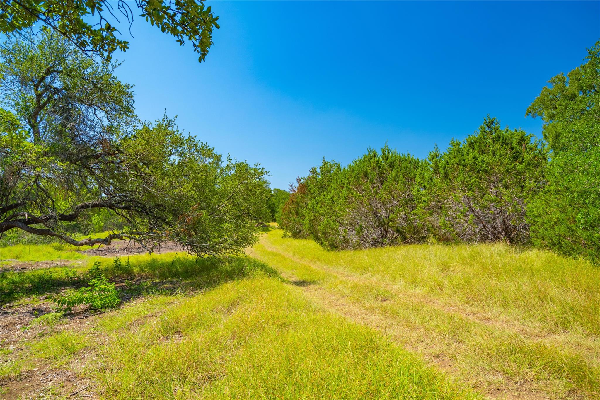 564 Bluff Springs Dr, Driftwood, TX 78619