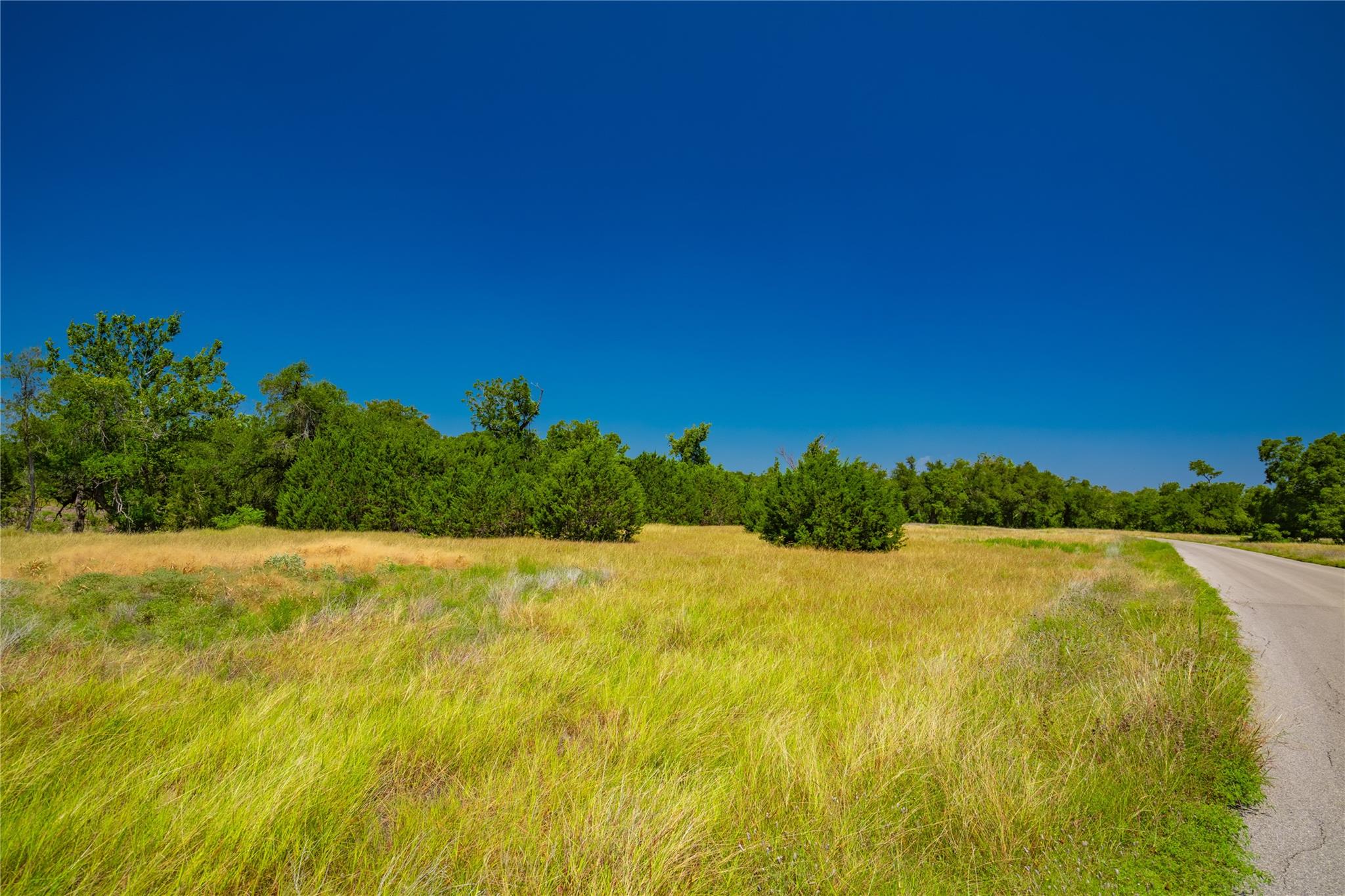 564 Bluff Springs Dr, Driftwood, TX 78619